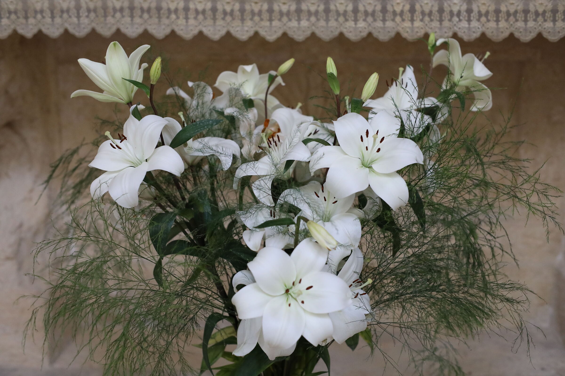 " ISO 6 Thousand 400 " Canon 5 D IV- Milvus Zeiss 50, 1.4