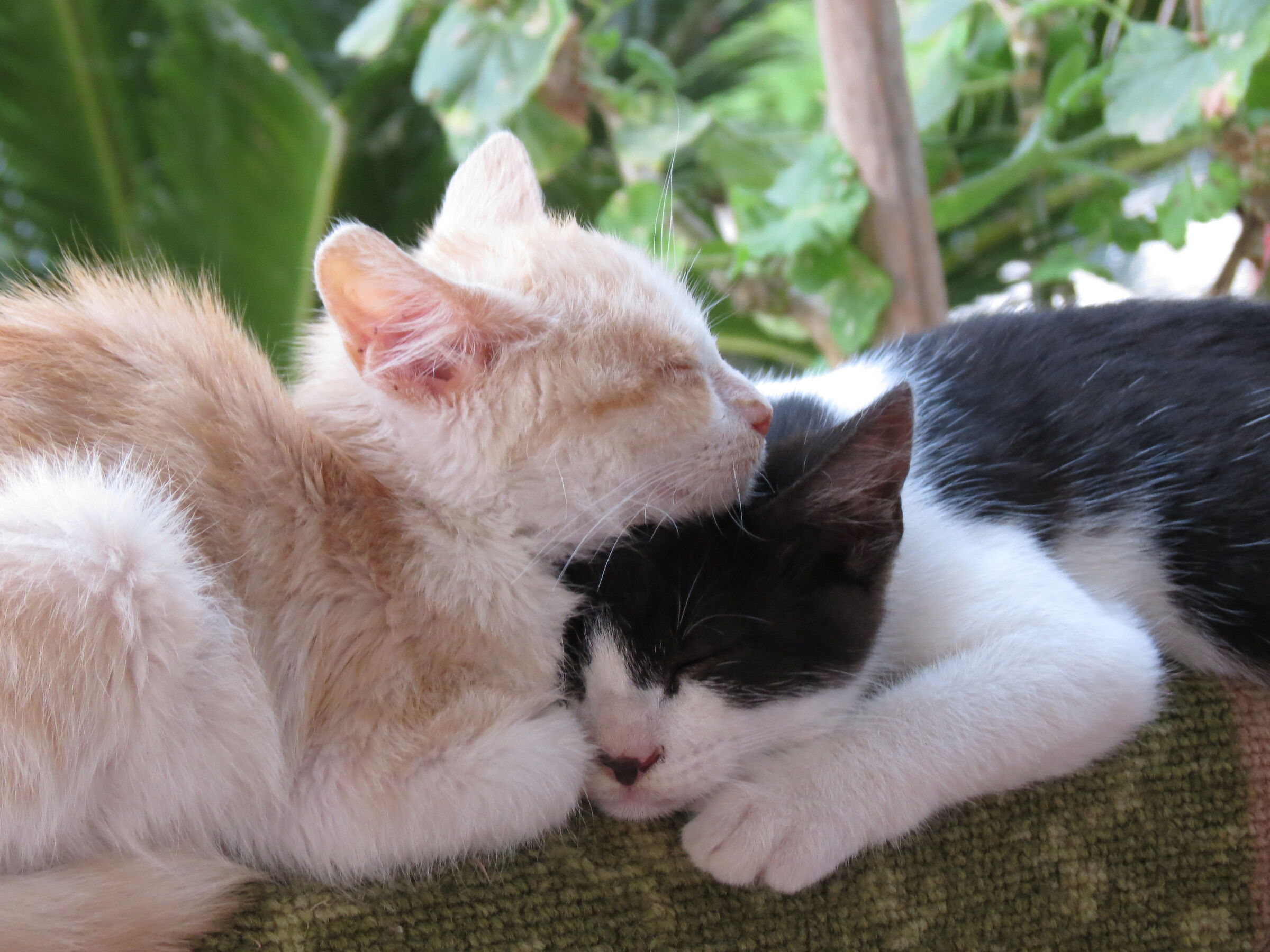 The little ones sleep peacefully.