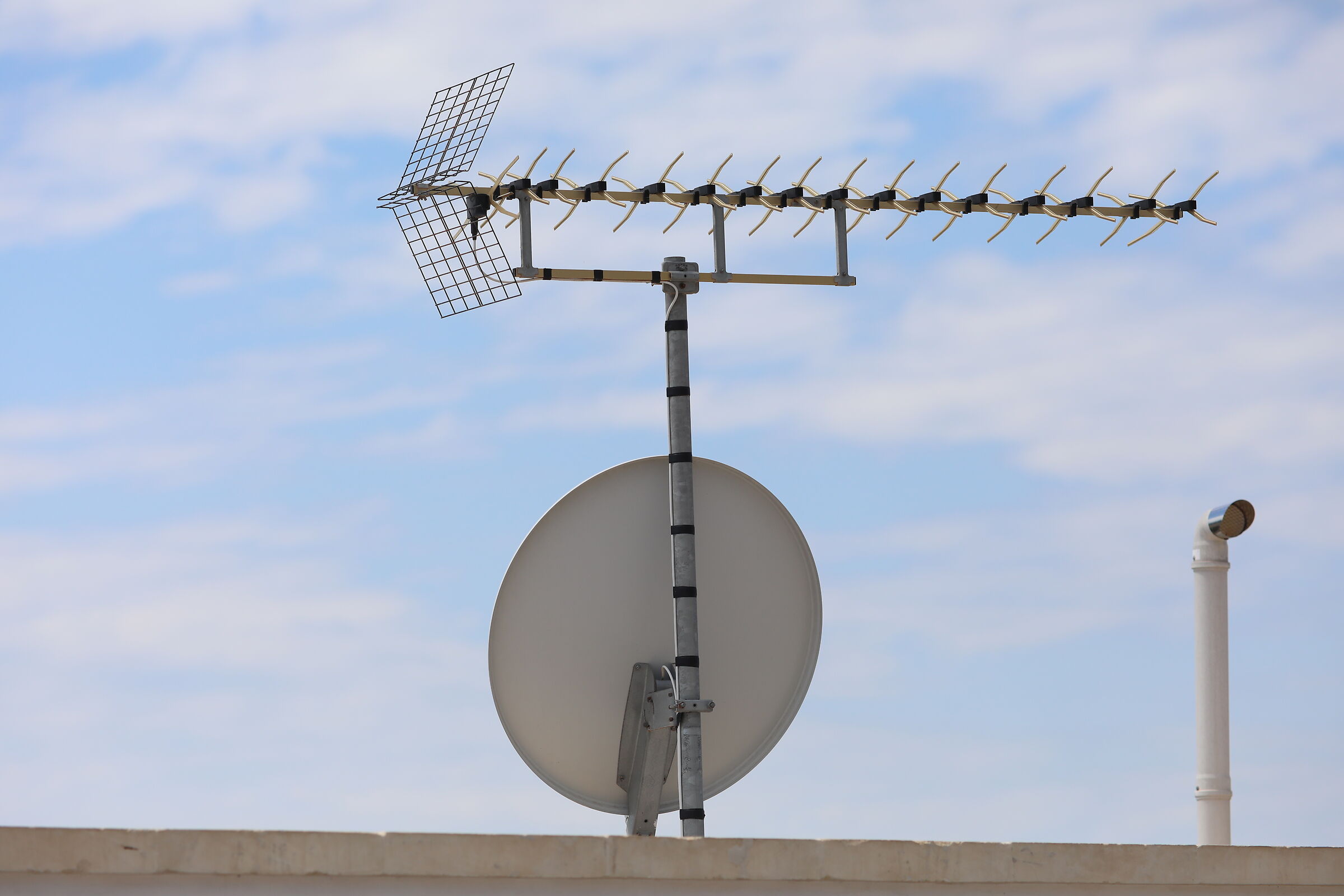 " Crop 189 " Canon 5 D IV, 135 F. 2 L USM + TC 1.4...