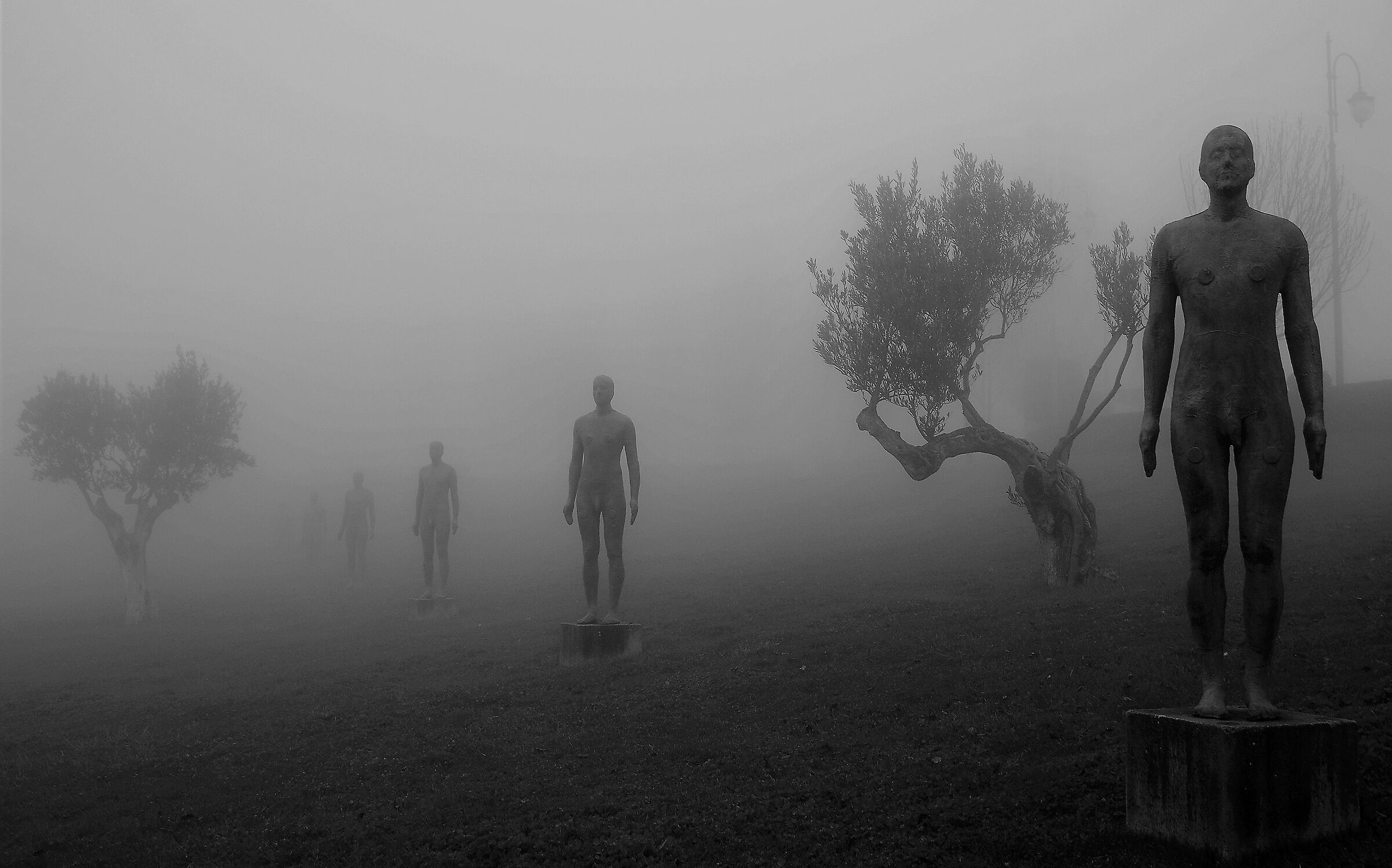 Ego Ghosts in the Fog of Consciousness