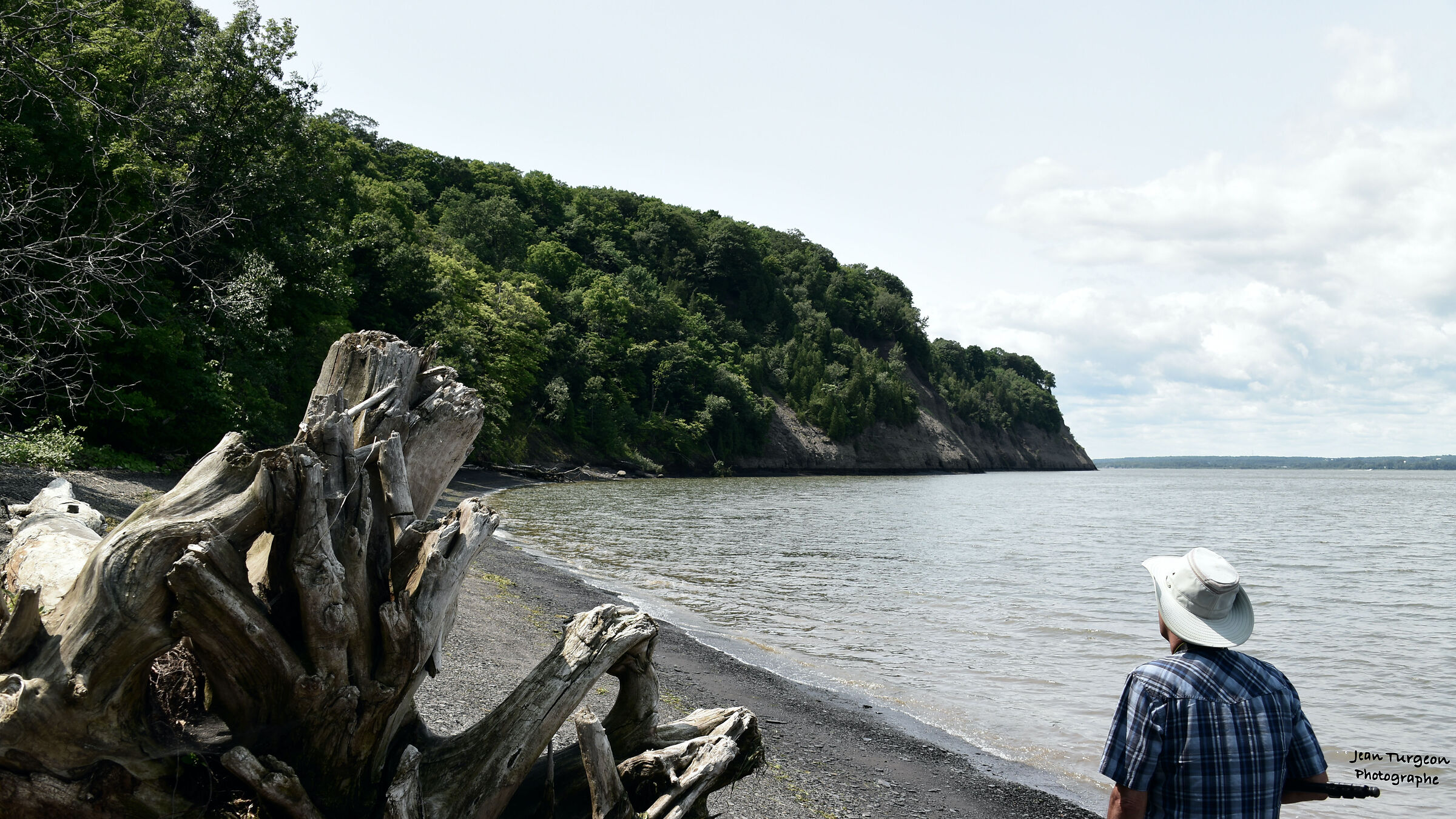 Rilassato in questi momenti - Uccelli in presenza