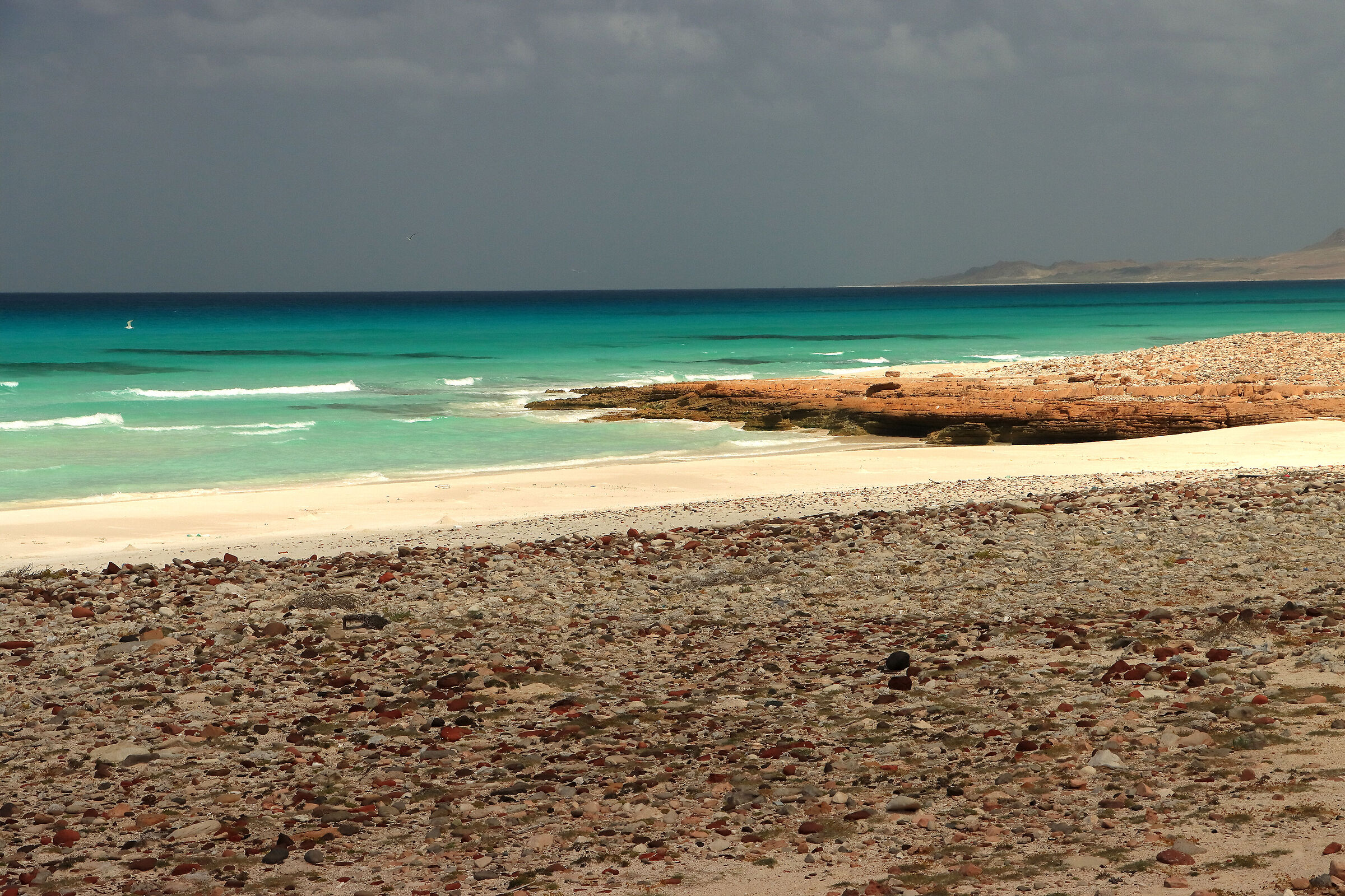 S O C O T R A - only us in "paradise"