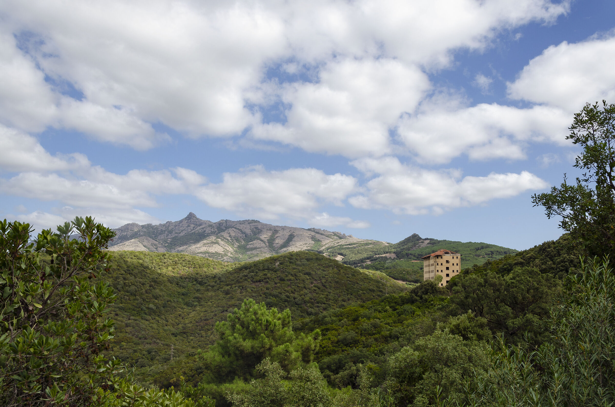 Montevecchio