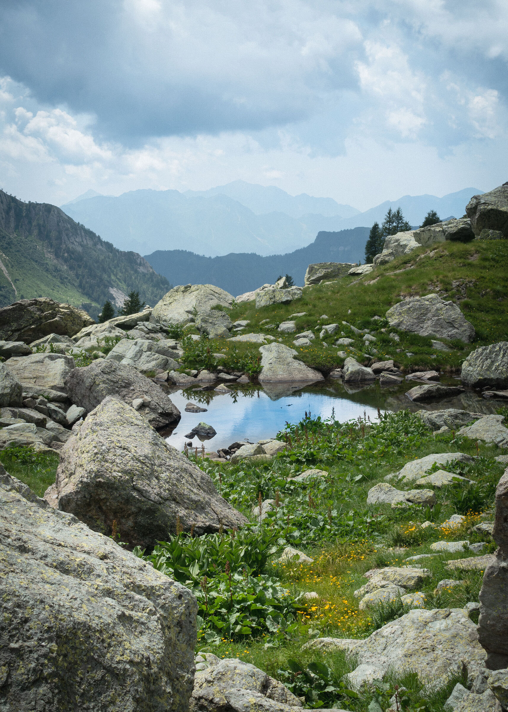 Il cielo in uno stagno