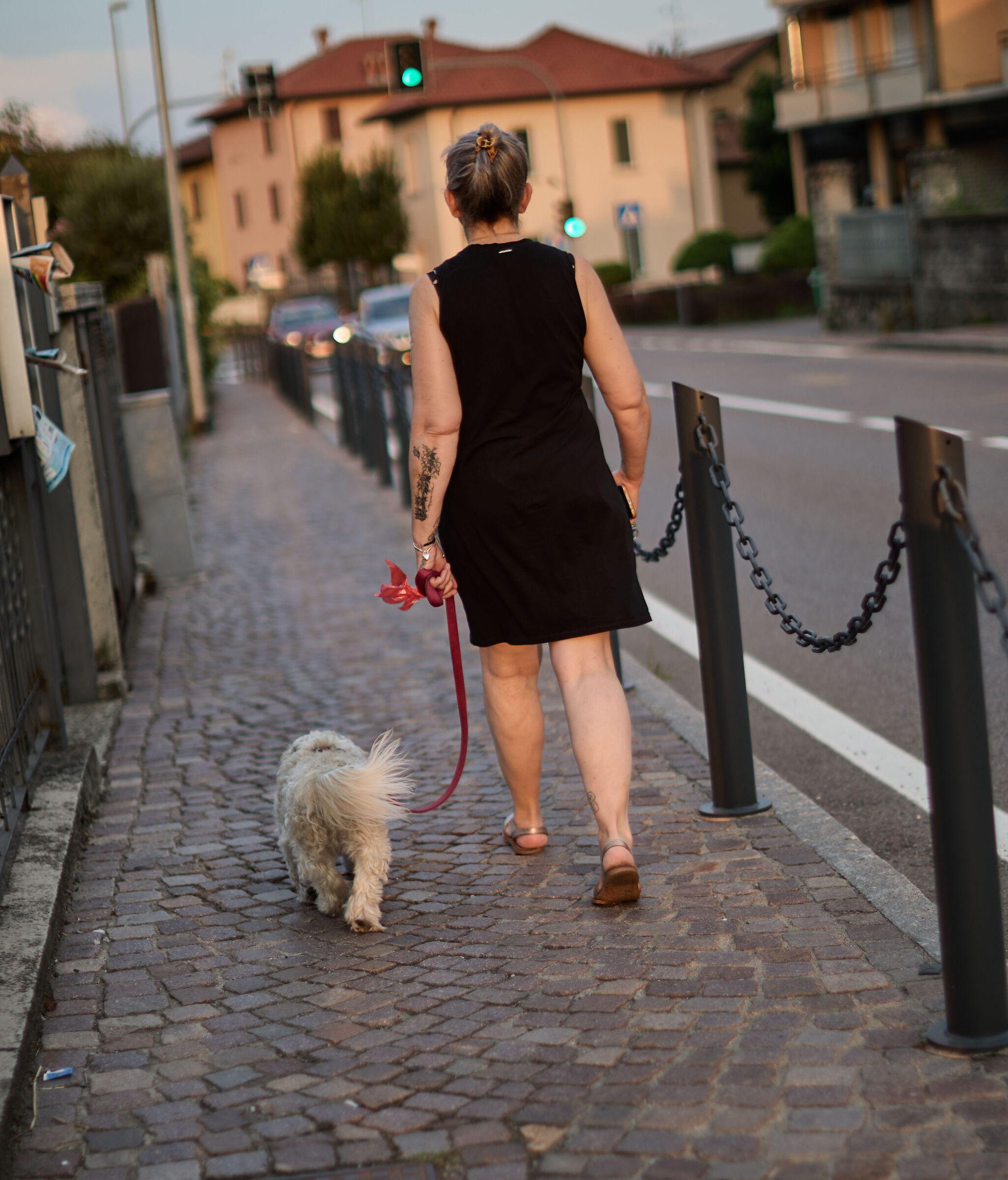 Passeggiata con cane