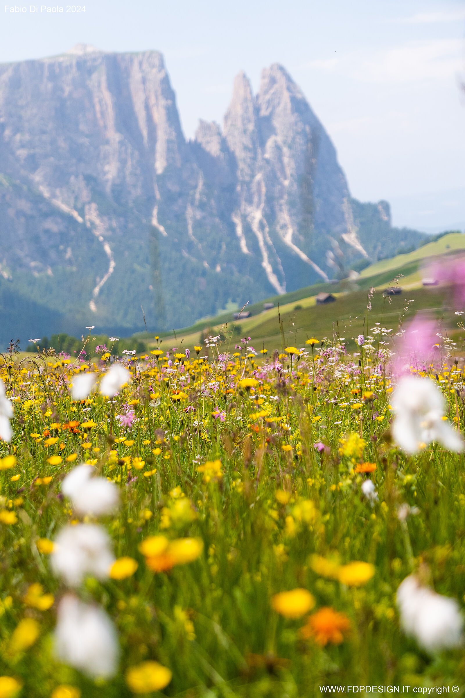Sciliar e fiori