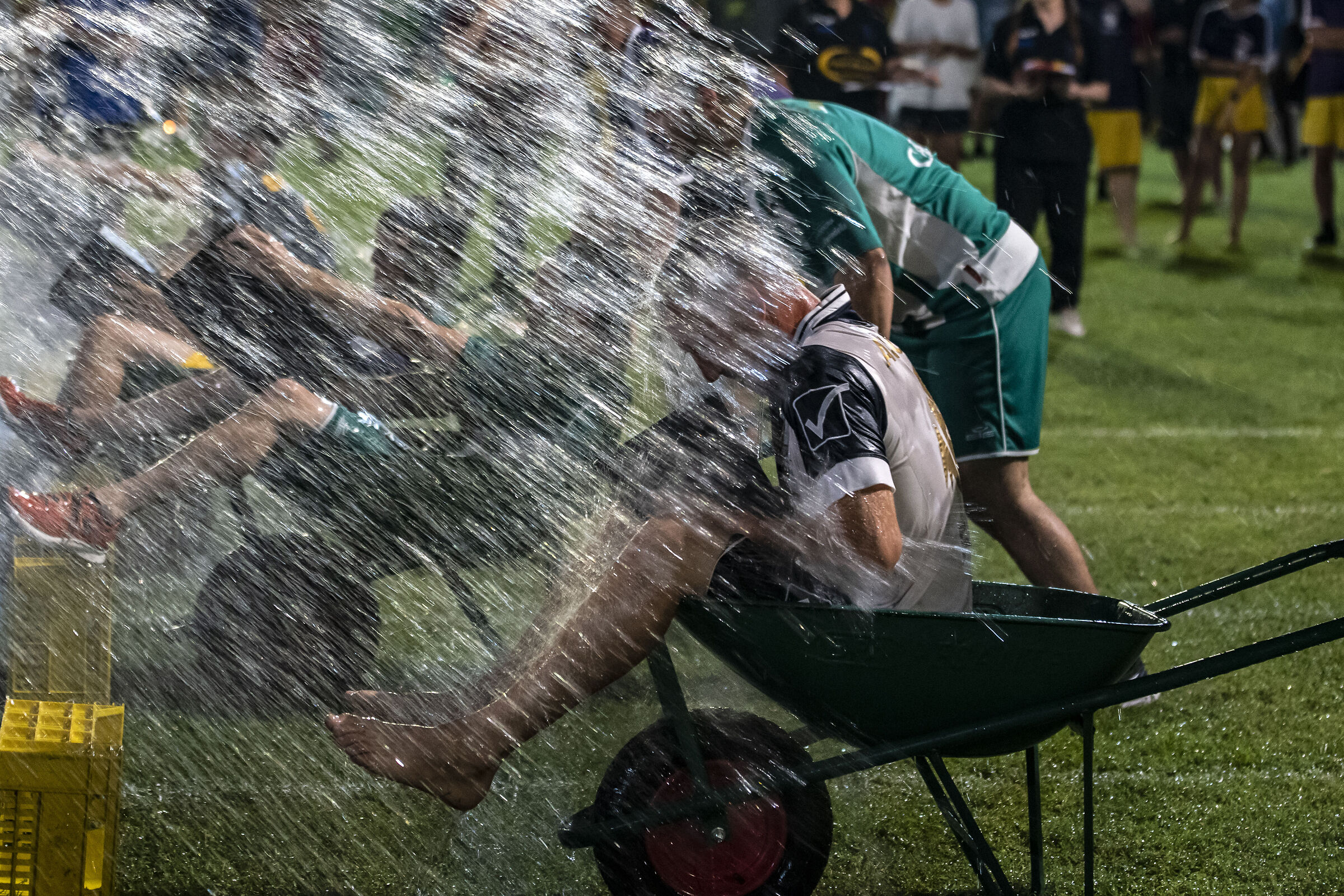 Gioco il contadino 1