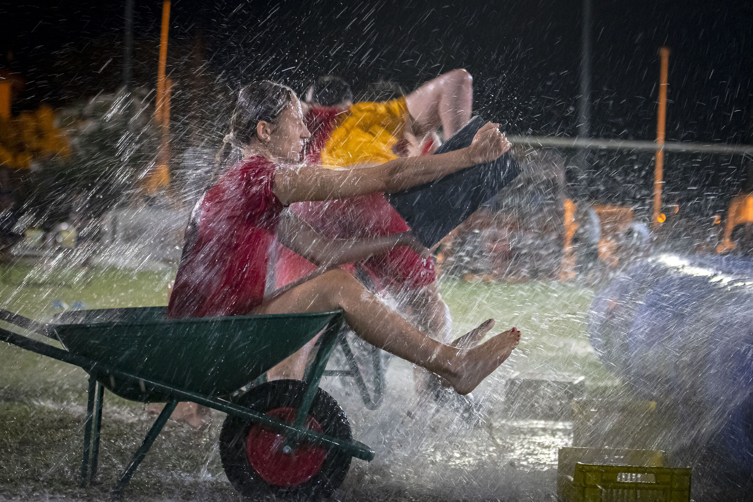 Gioco il contadino 4