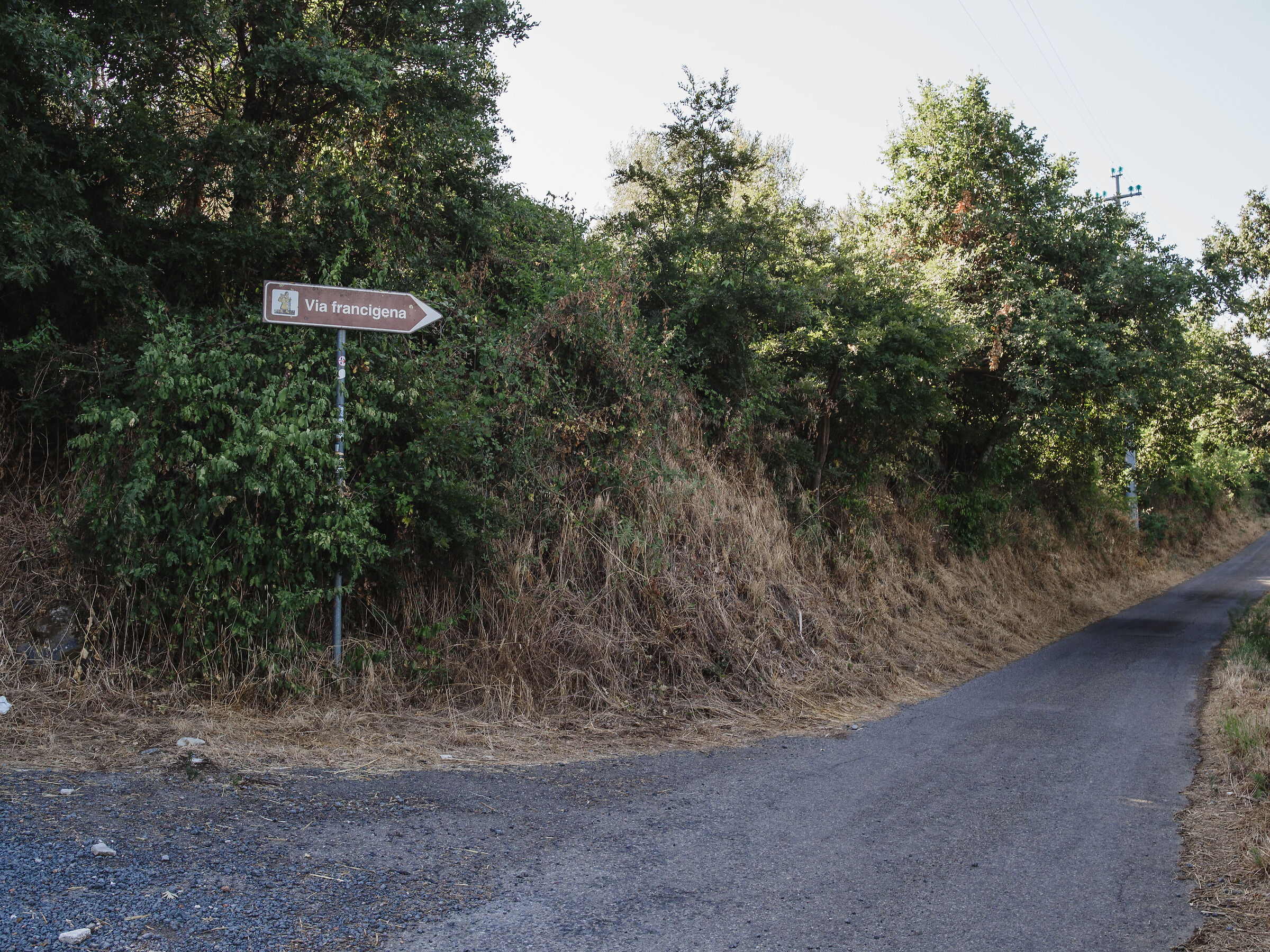 Towards the Francigena