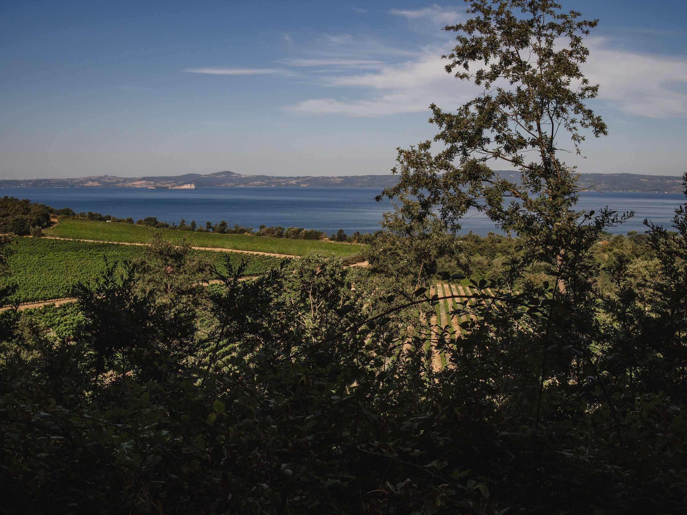 Lake Bolsena