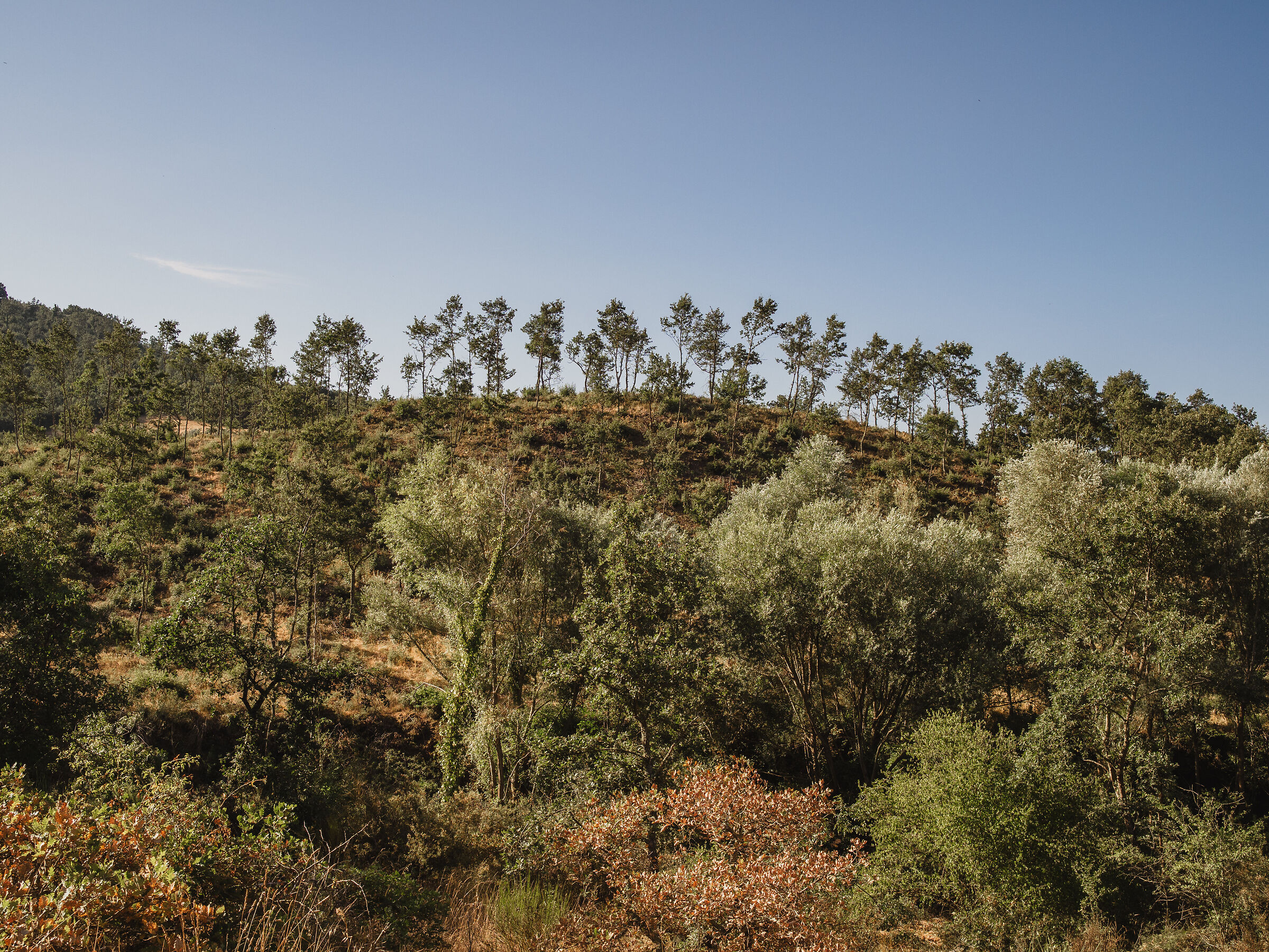 Hills