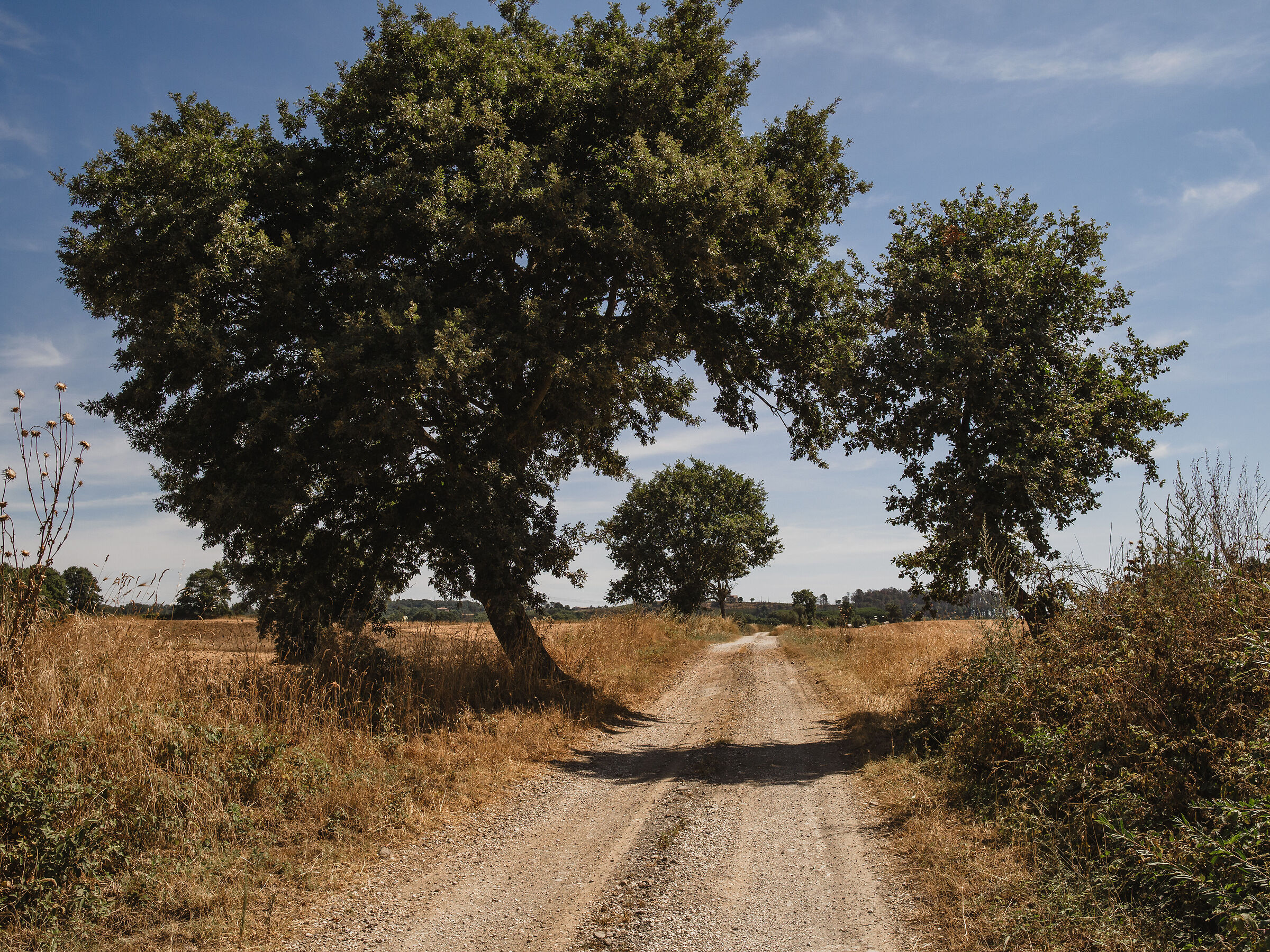 Towards Bagnoregio