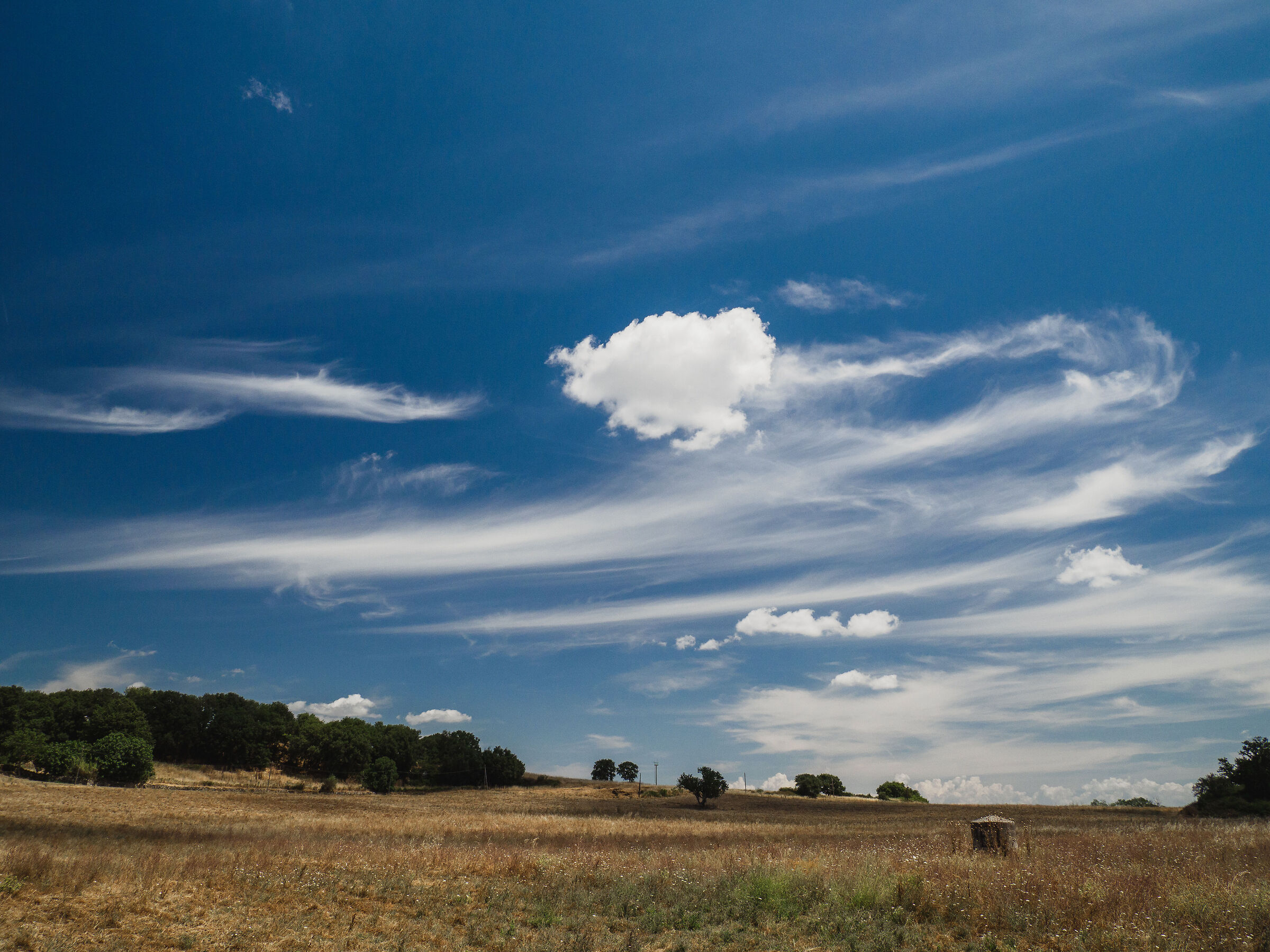 Sky