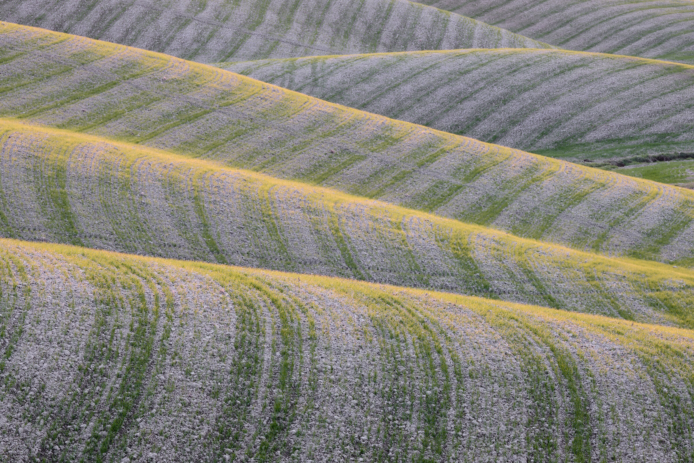 Rolling hills