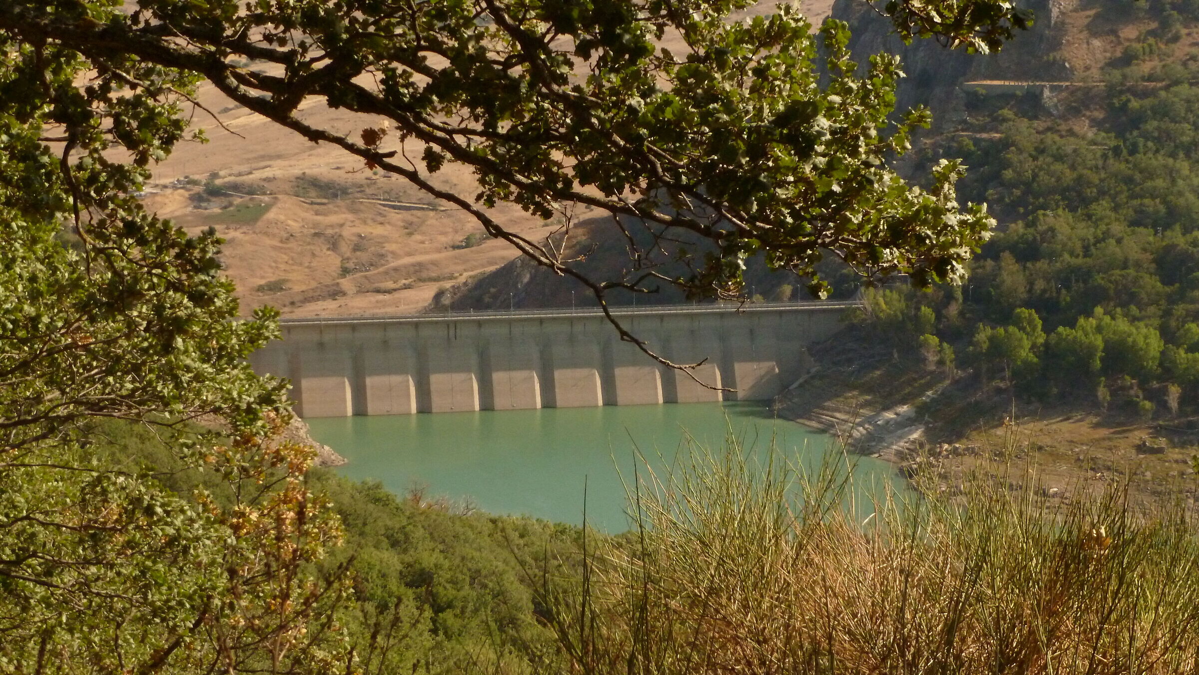 Dam