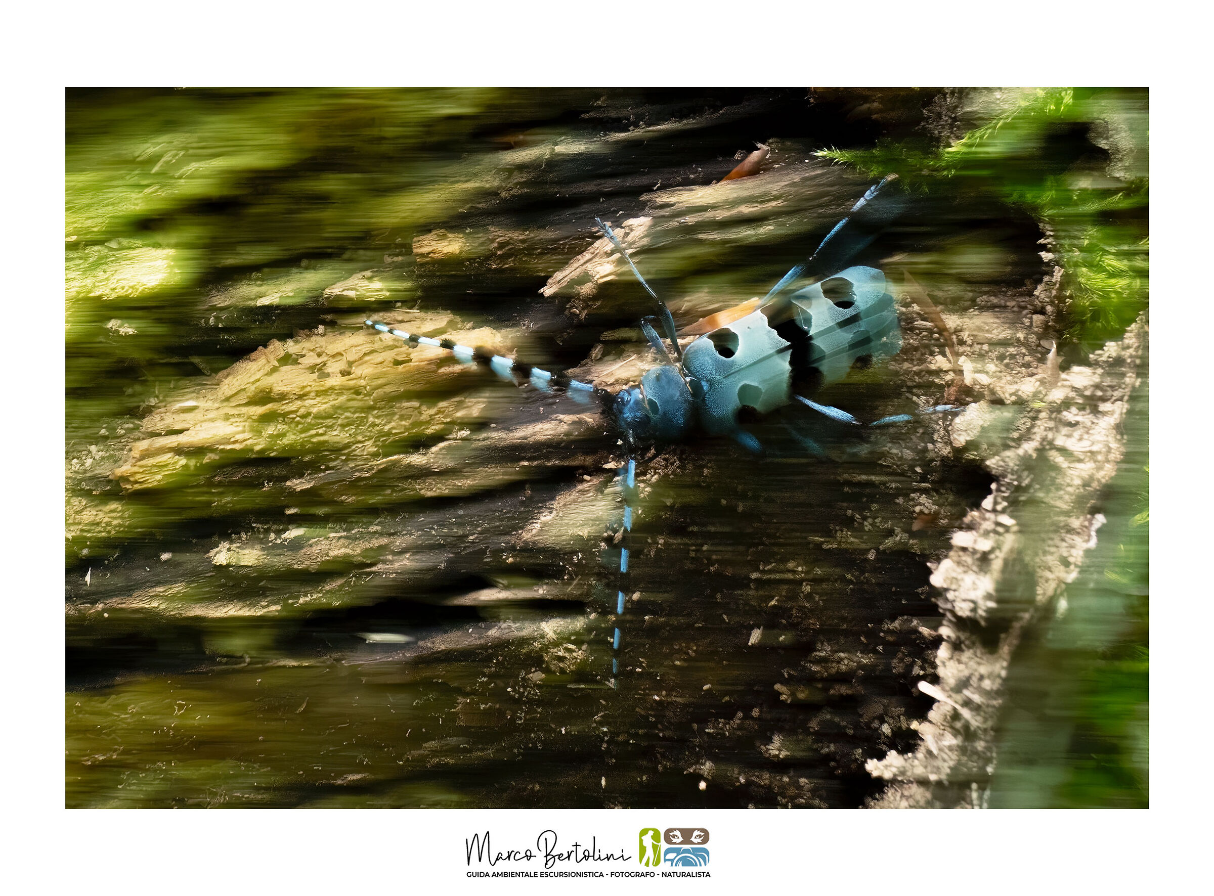 La corsa della vita...