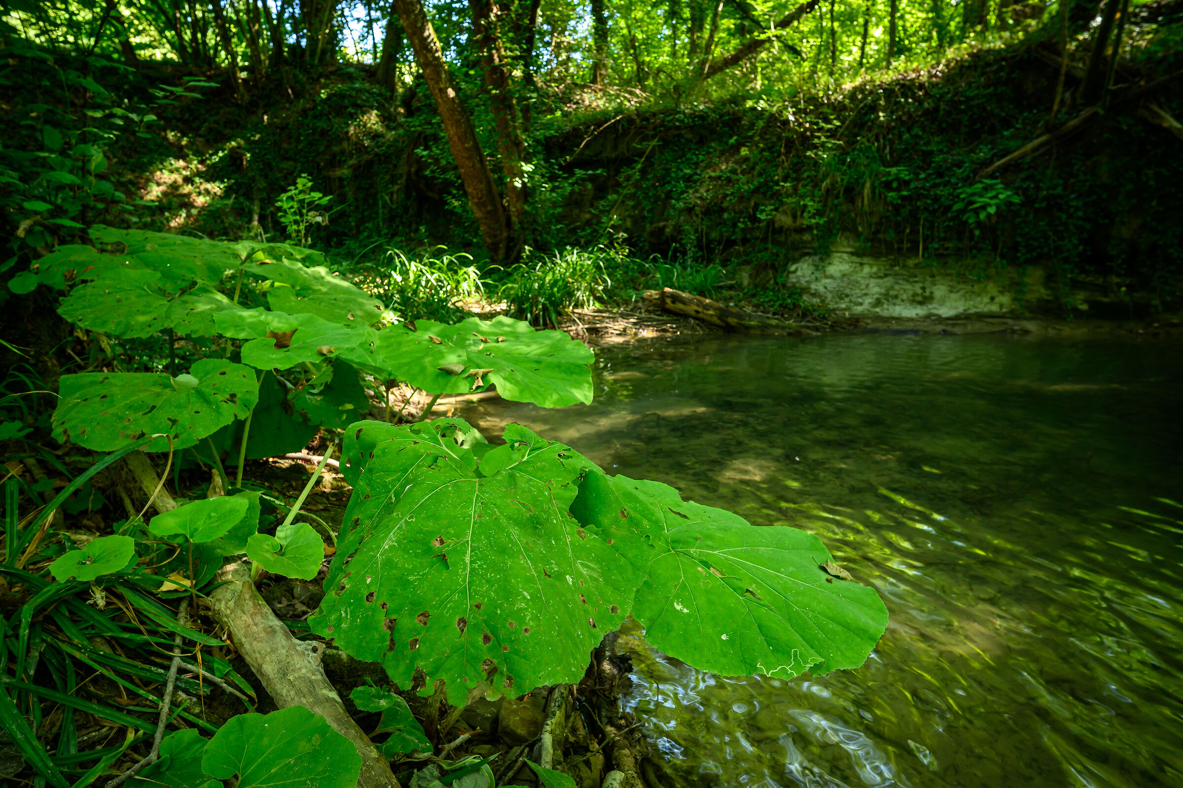 Col di Pinzo waterfalls