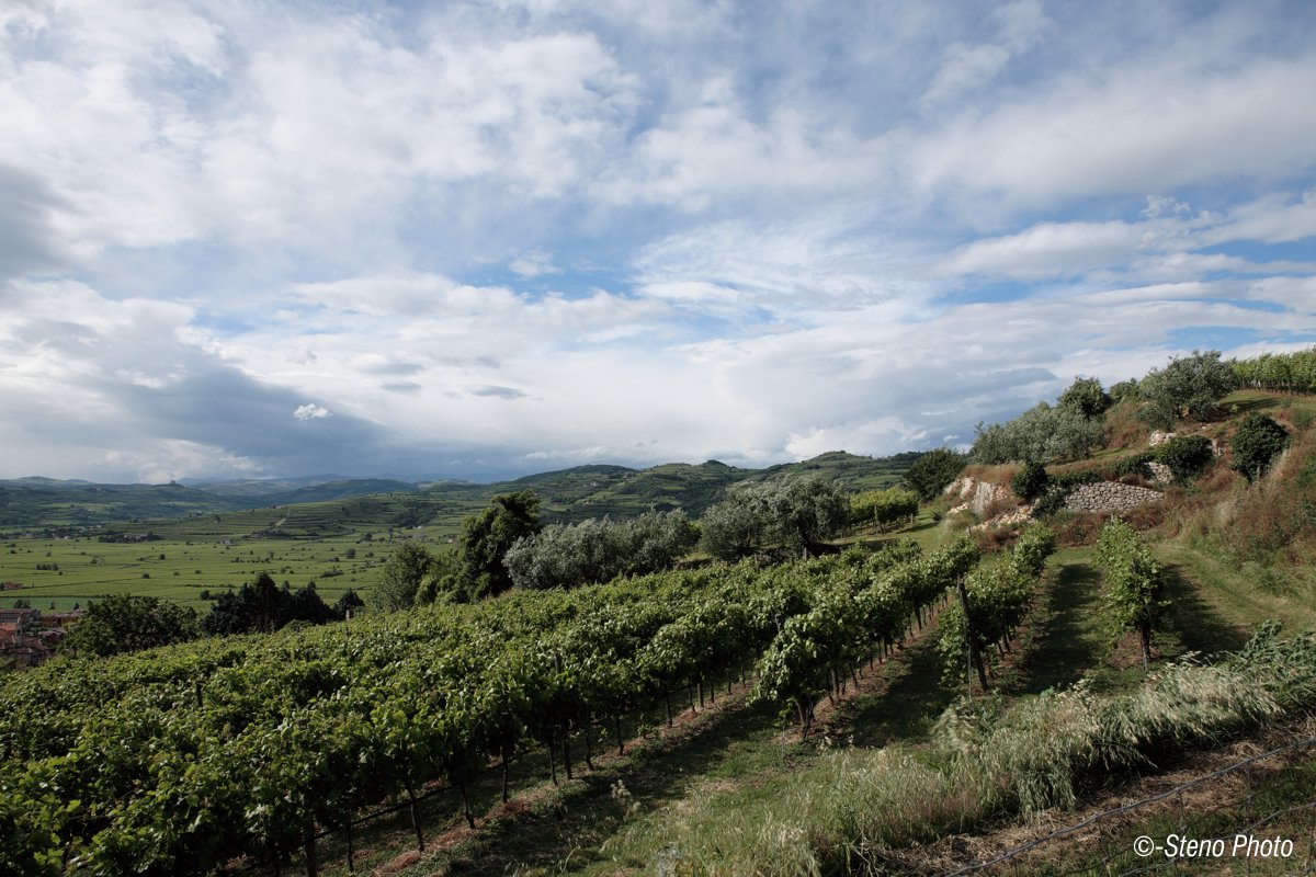 Surrounding the castle