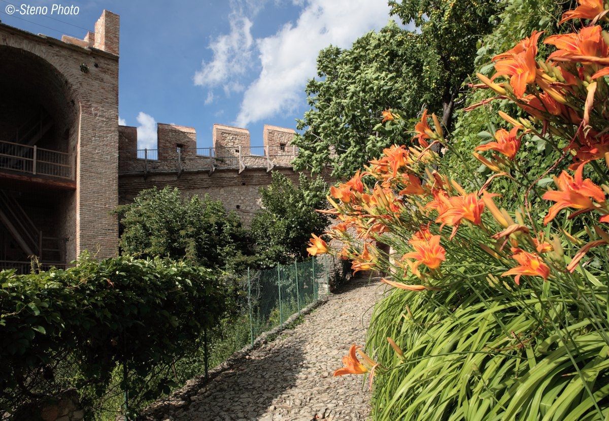 Passeggiata verso il castello