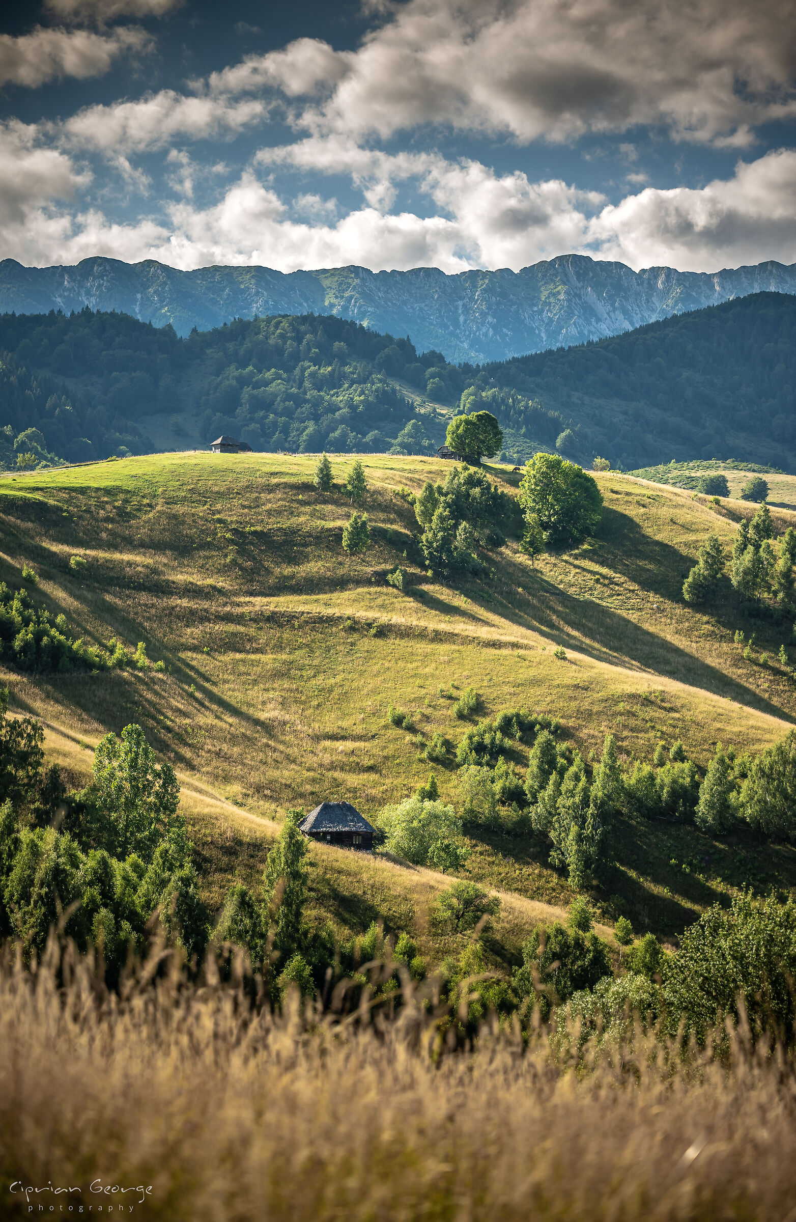 Tramonto dei Carpazi
