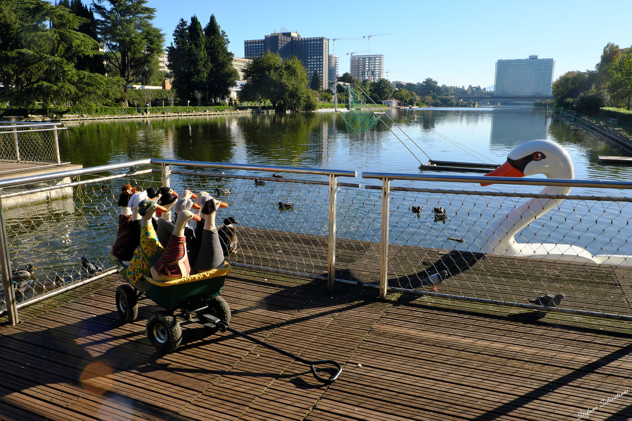 "Quack! Blessed are they...."