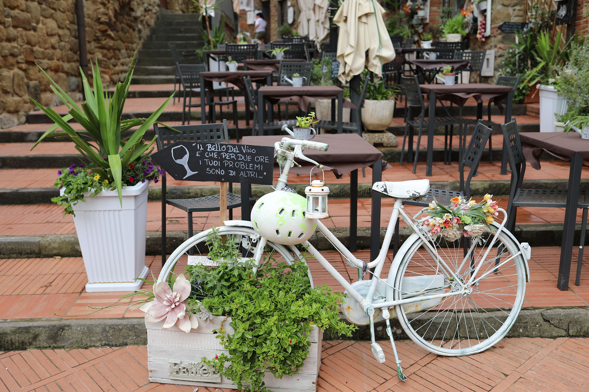 Canon 5 D IV, 35, F.2 IS USM