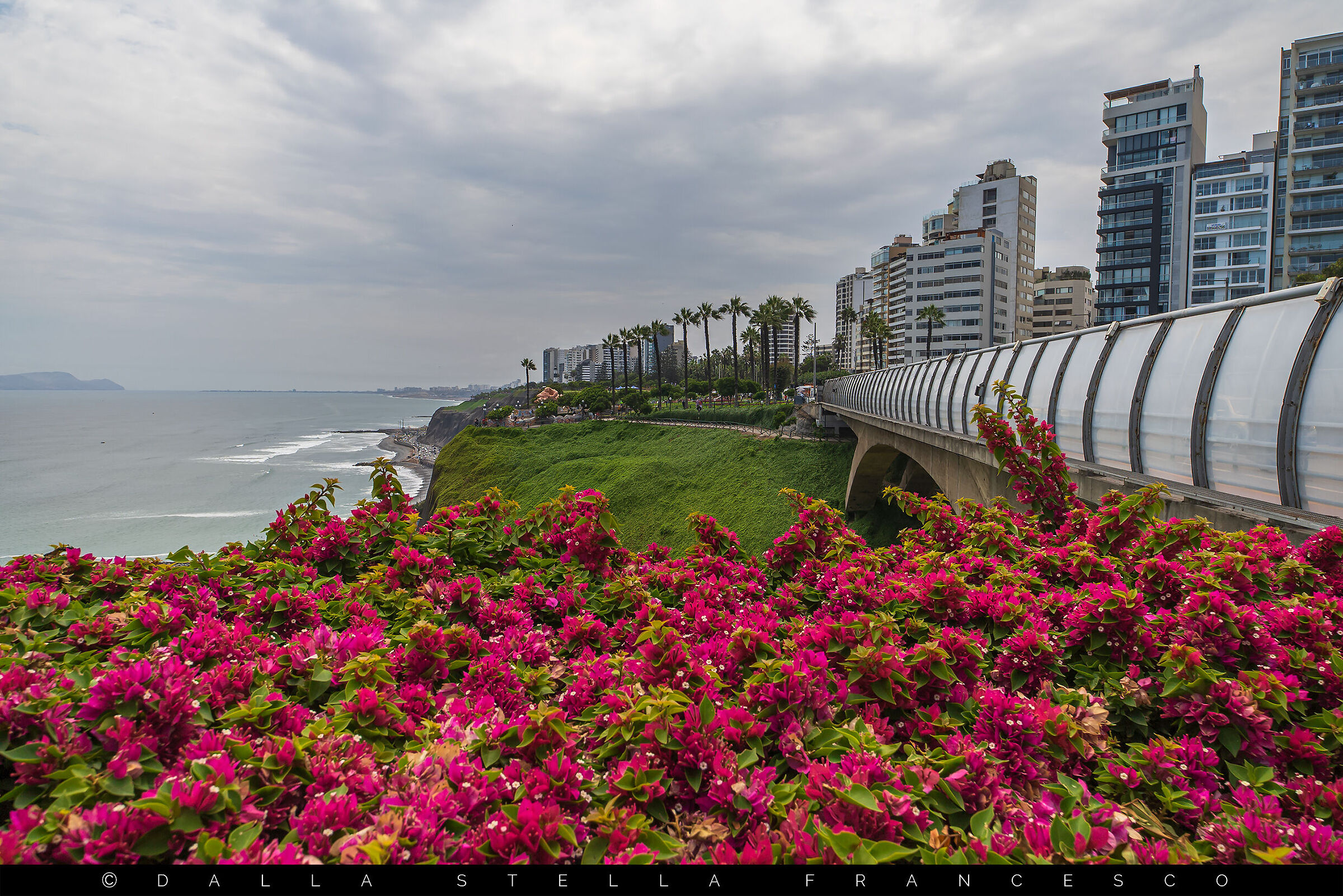 Miraflores