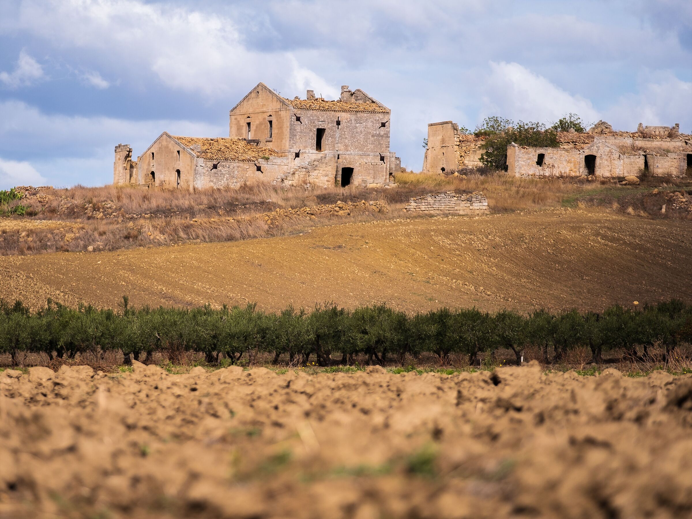 Gravina