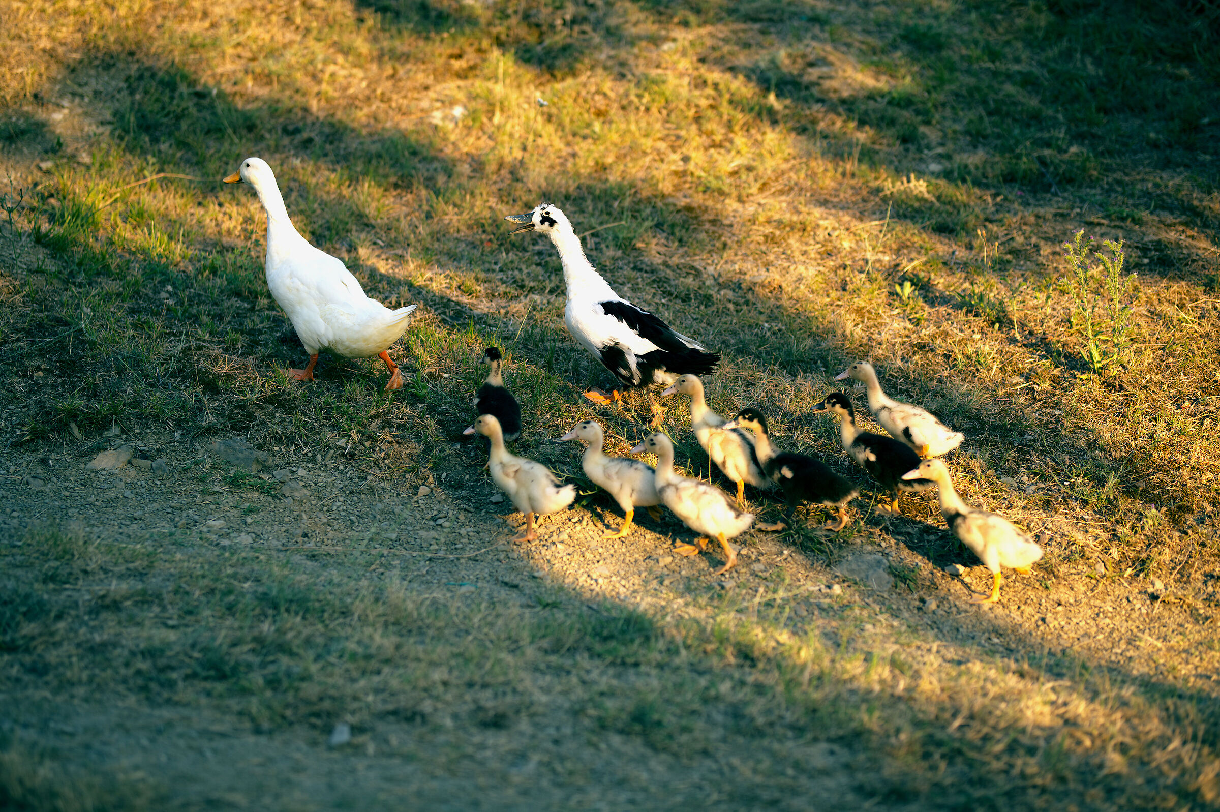 Famiglia al completo...