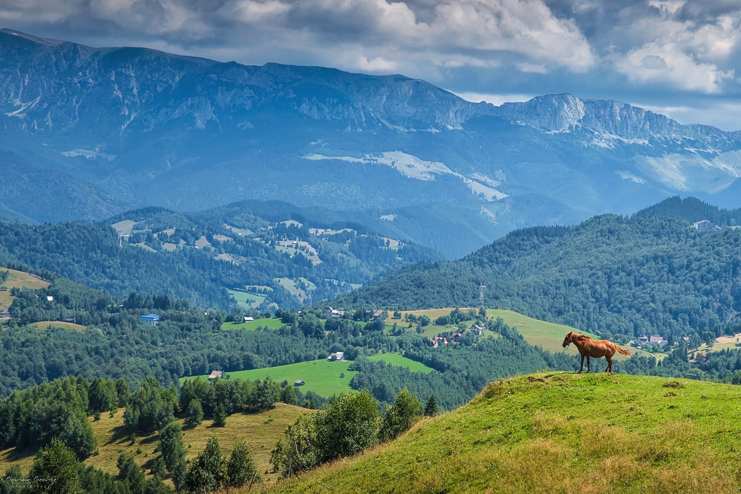 Paesaggio dei Carpazi