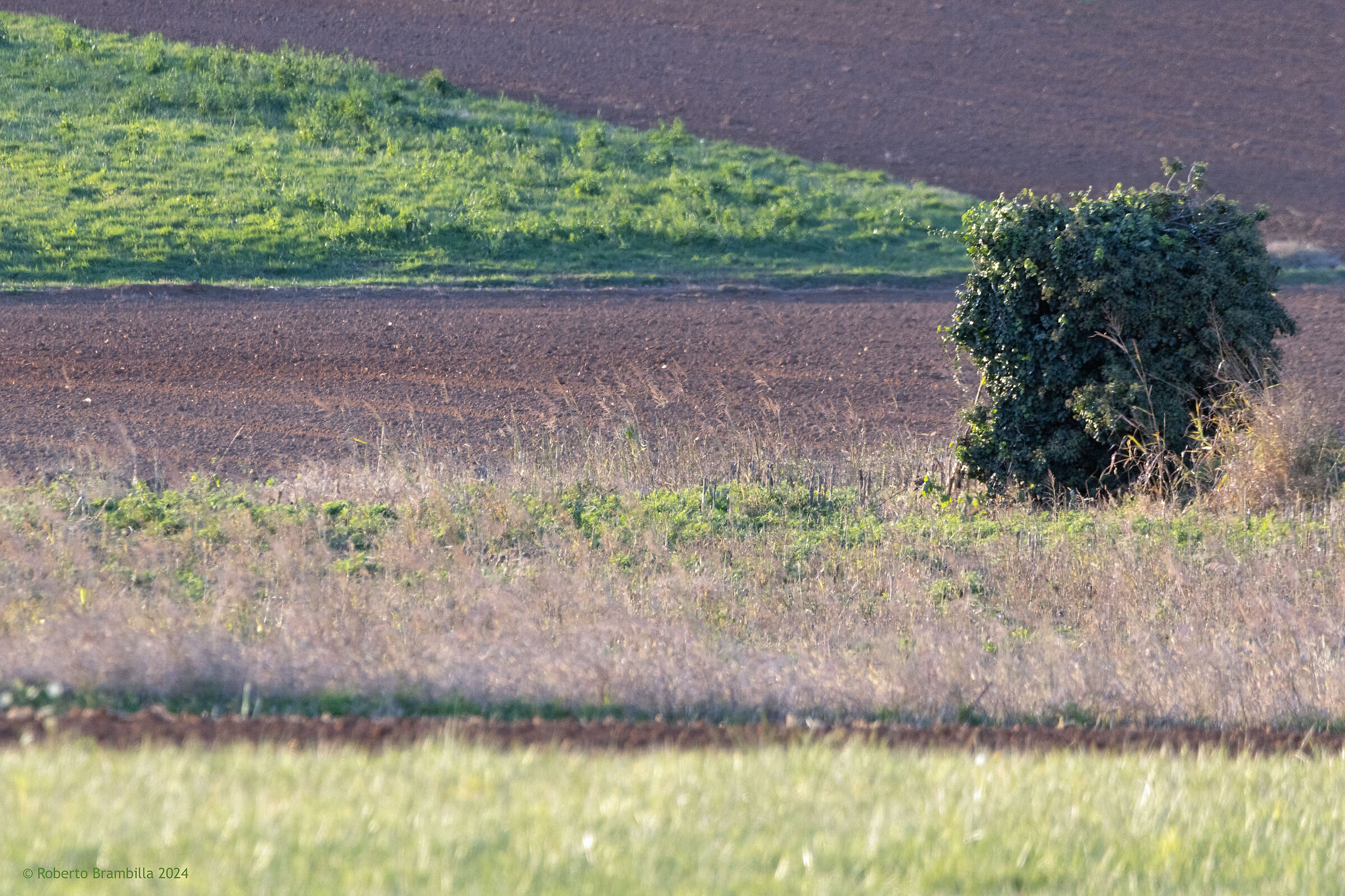 Paesaggio