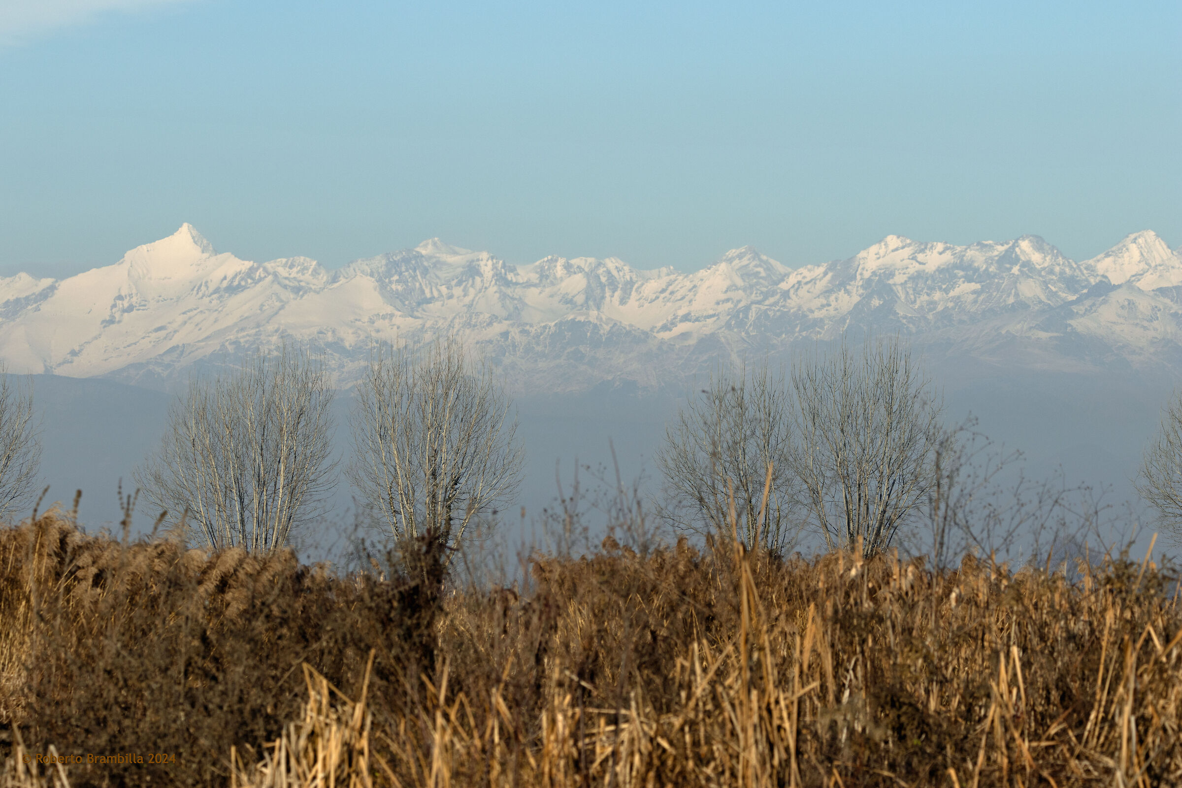 Paesaggio Invernale