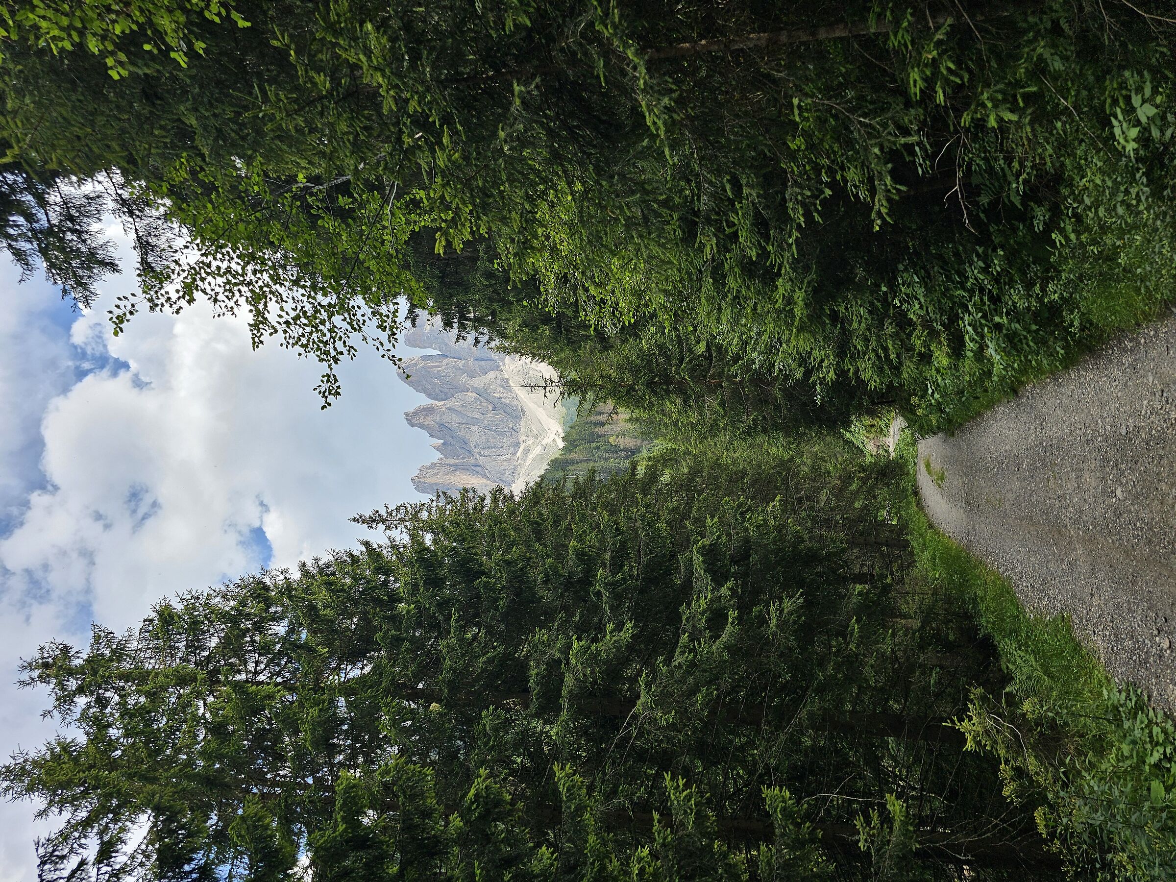 Untitled Photo