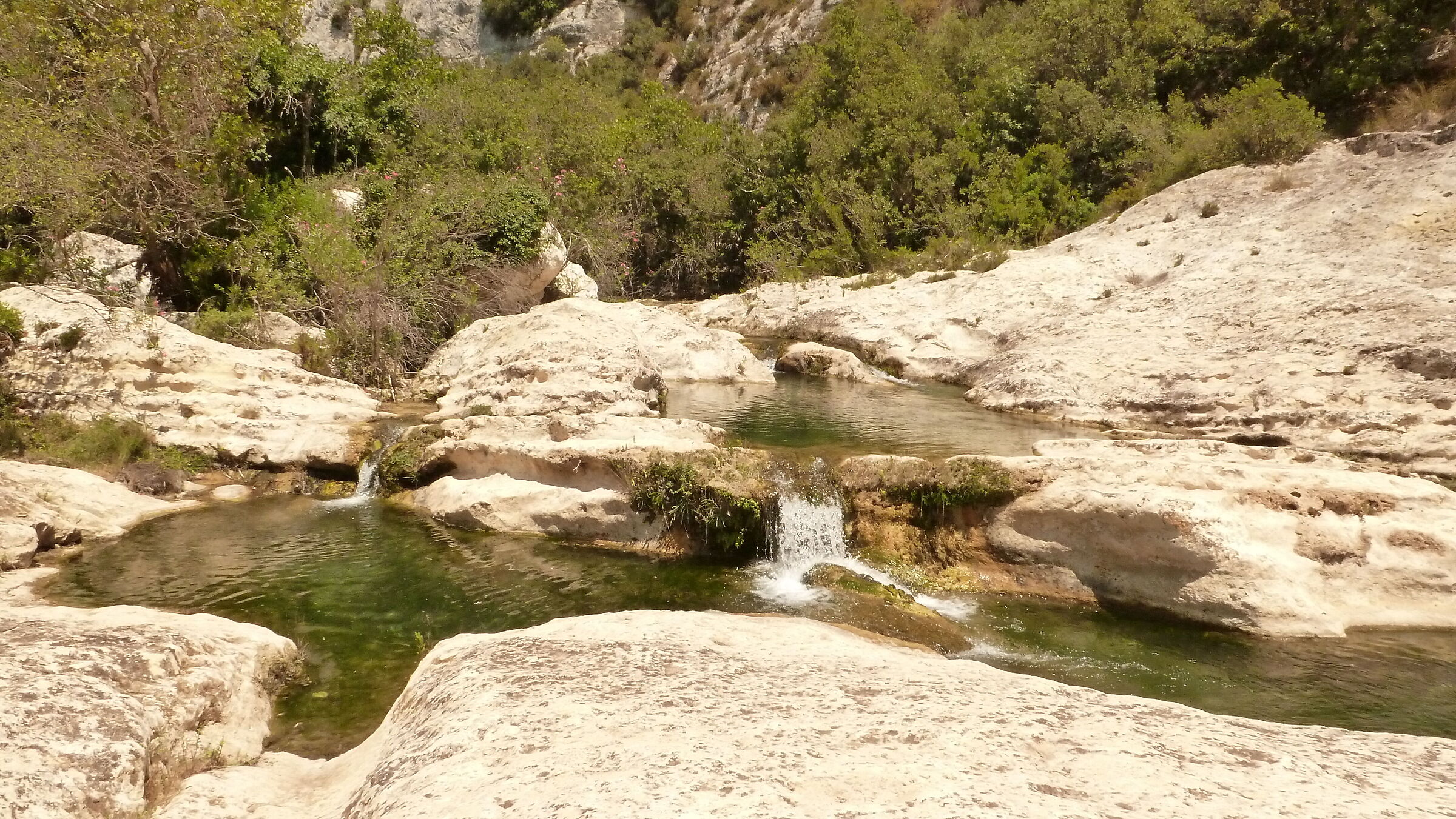Going up the river