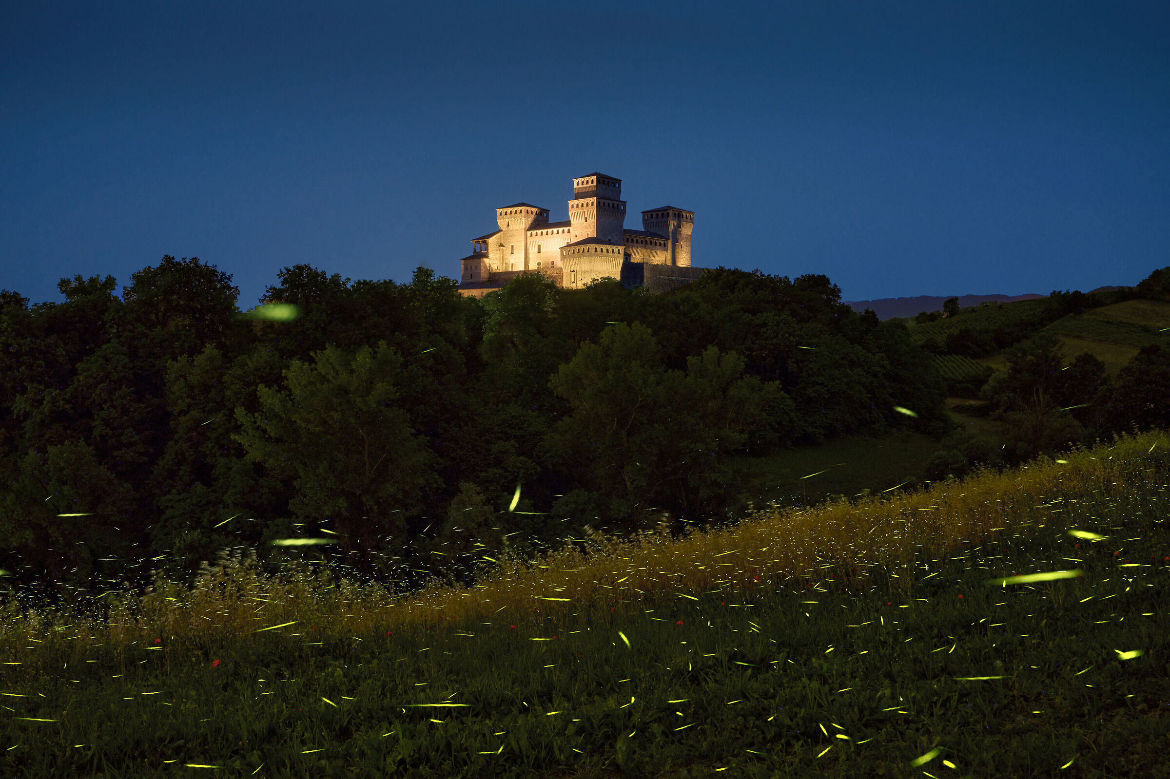 Fireflies & Castle