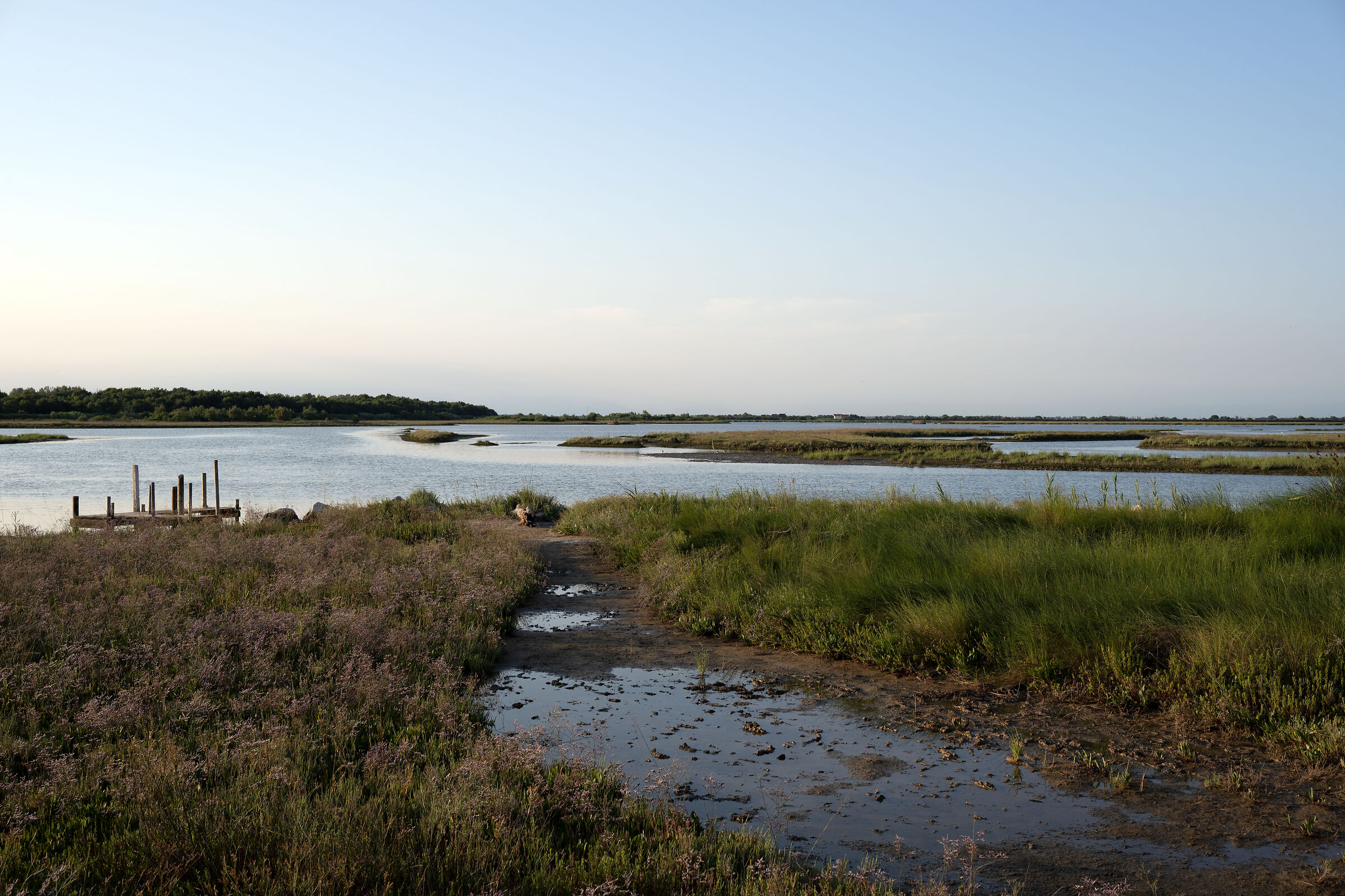 Brussa Natural Oasis