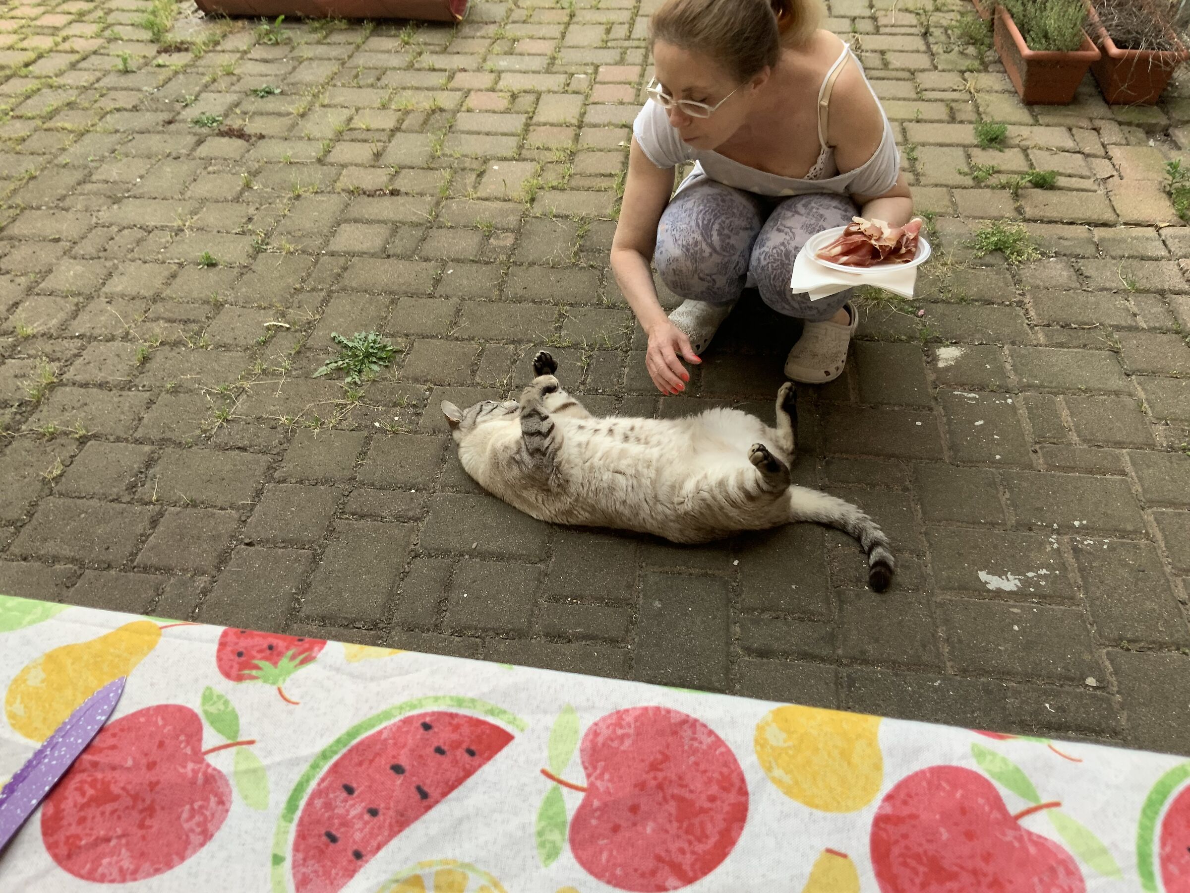 ora si che ci siamo … (Gatto superViziato)