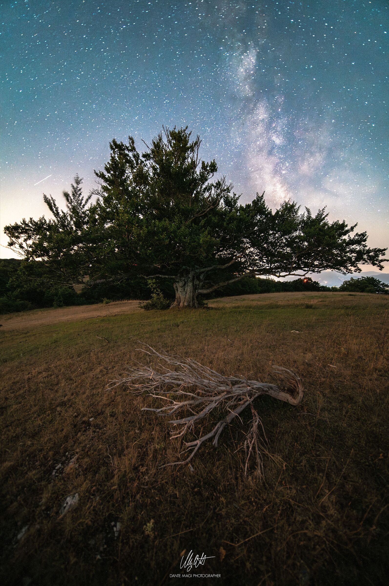 Stelle a Canfaito
