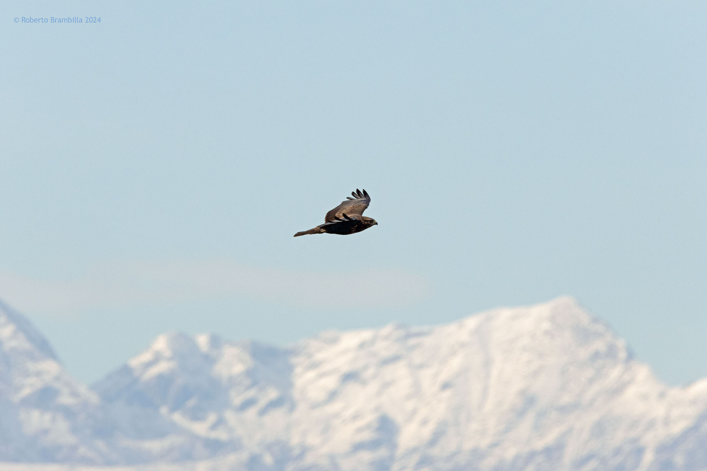Above the Alps