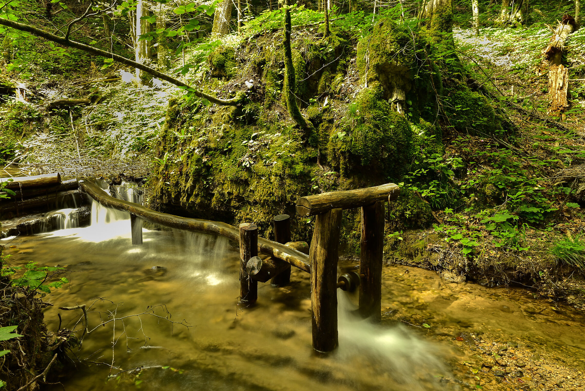 Mill on the stream Wild stream