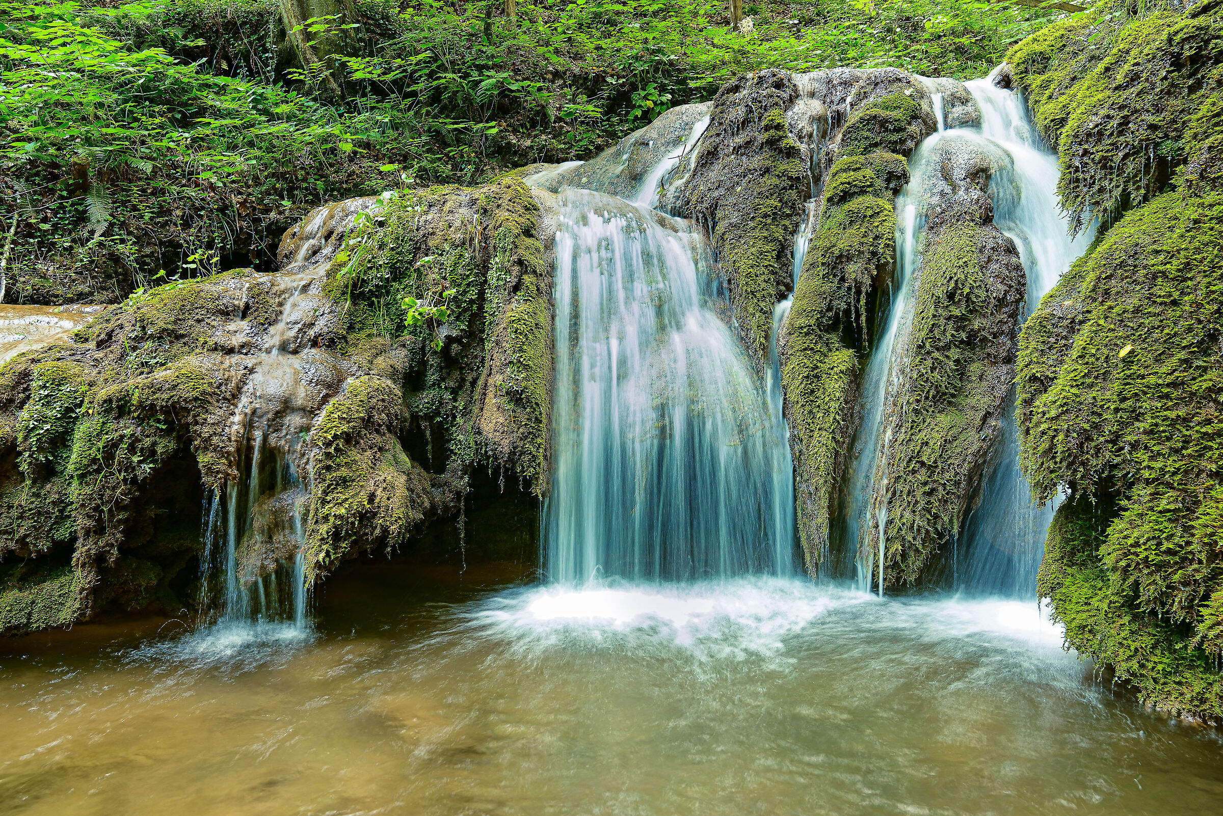 Waterfall below .....Wild stream