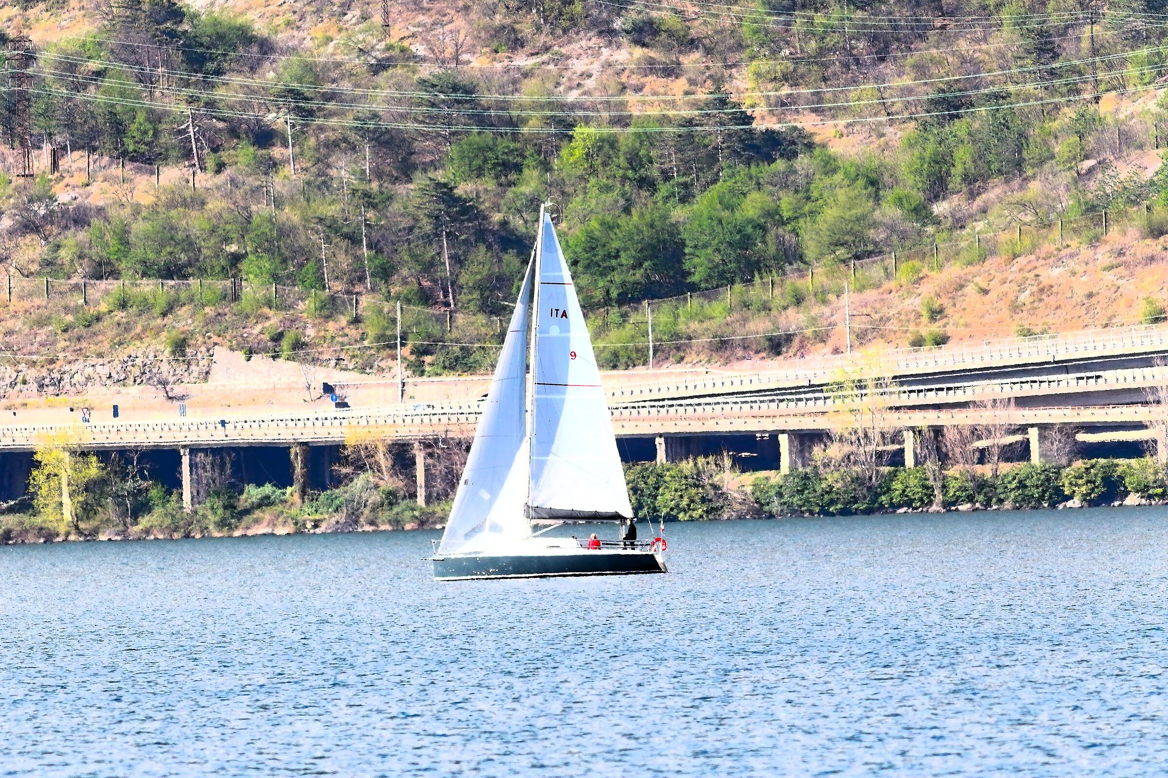 Vela 22 aprile 2024 - 7738