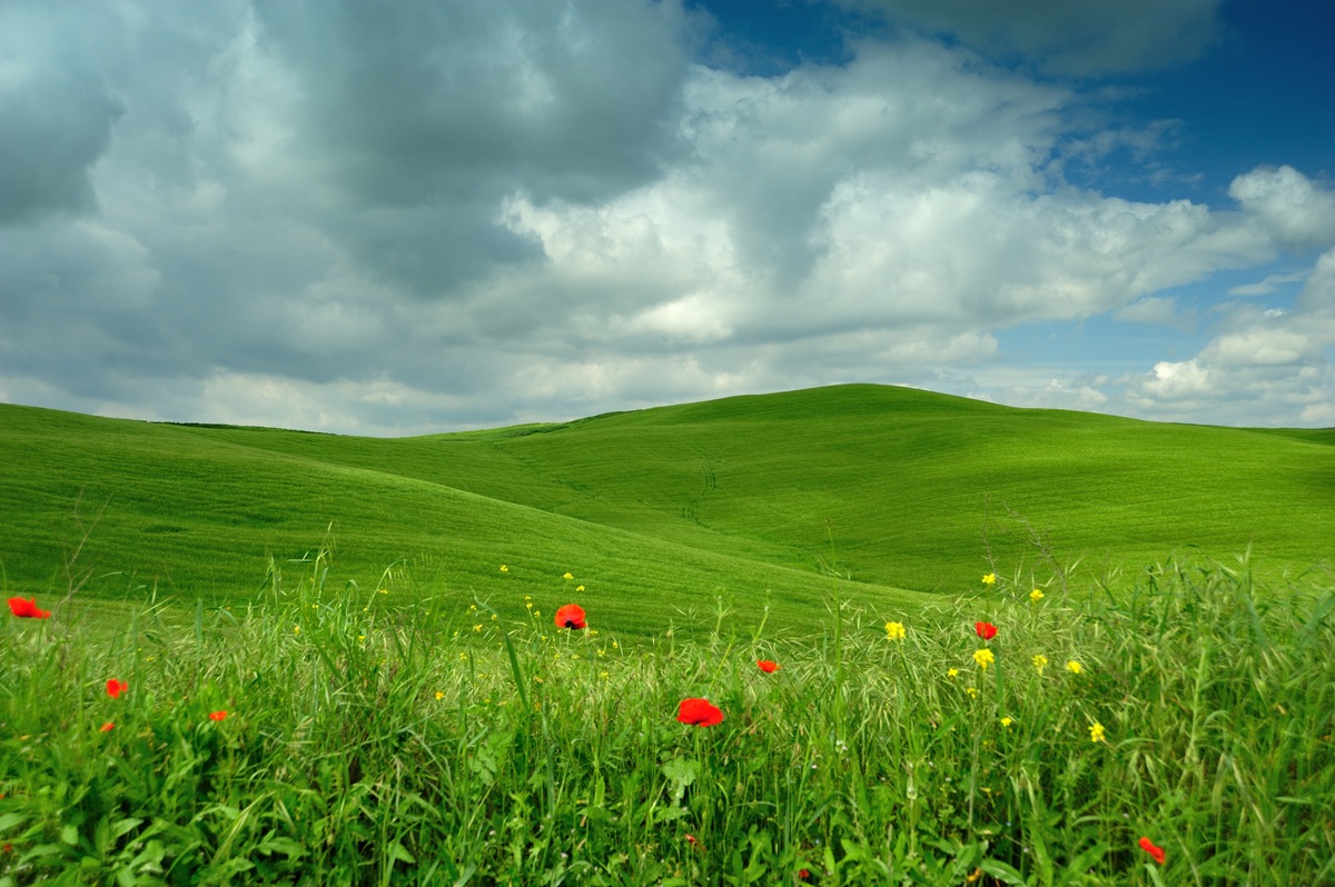 Crete Senesi strada per Radi