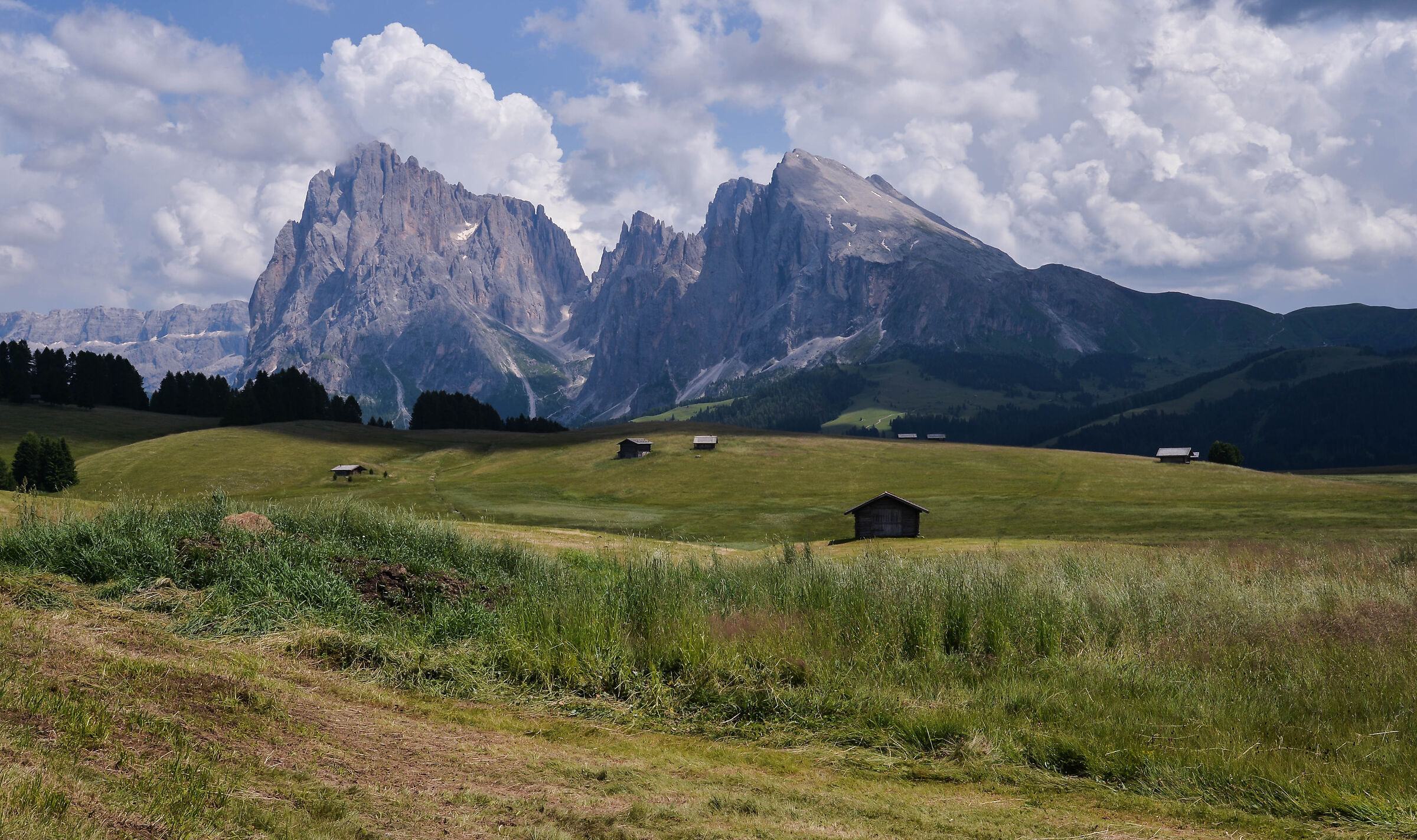 Gruppo del Sassolungo