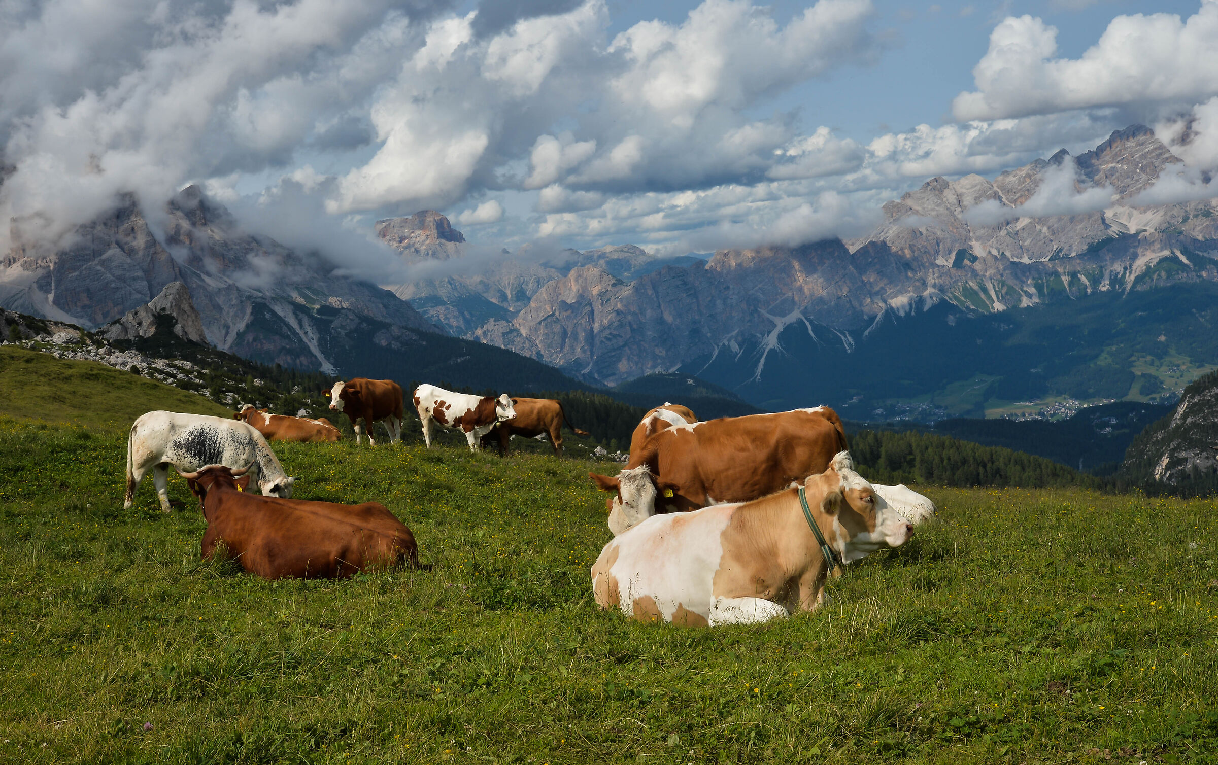 Dolomiti (4)