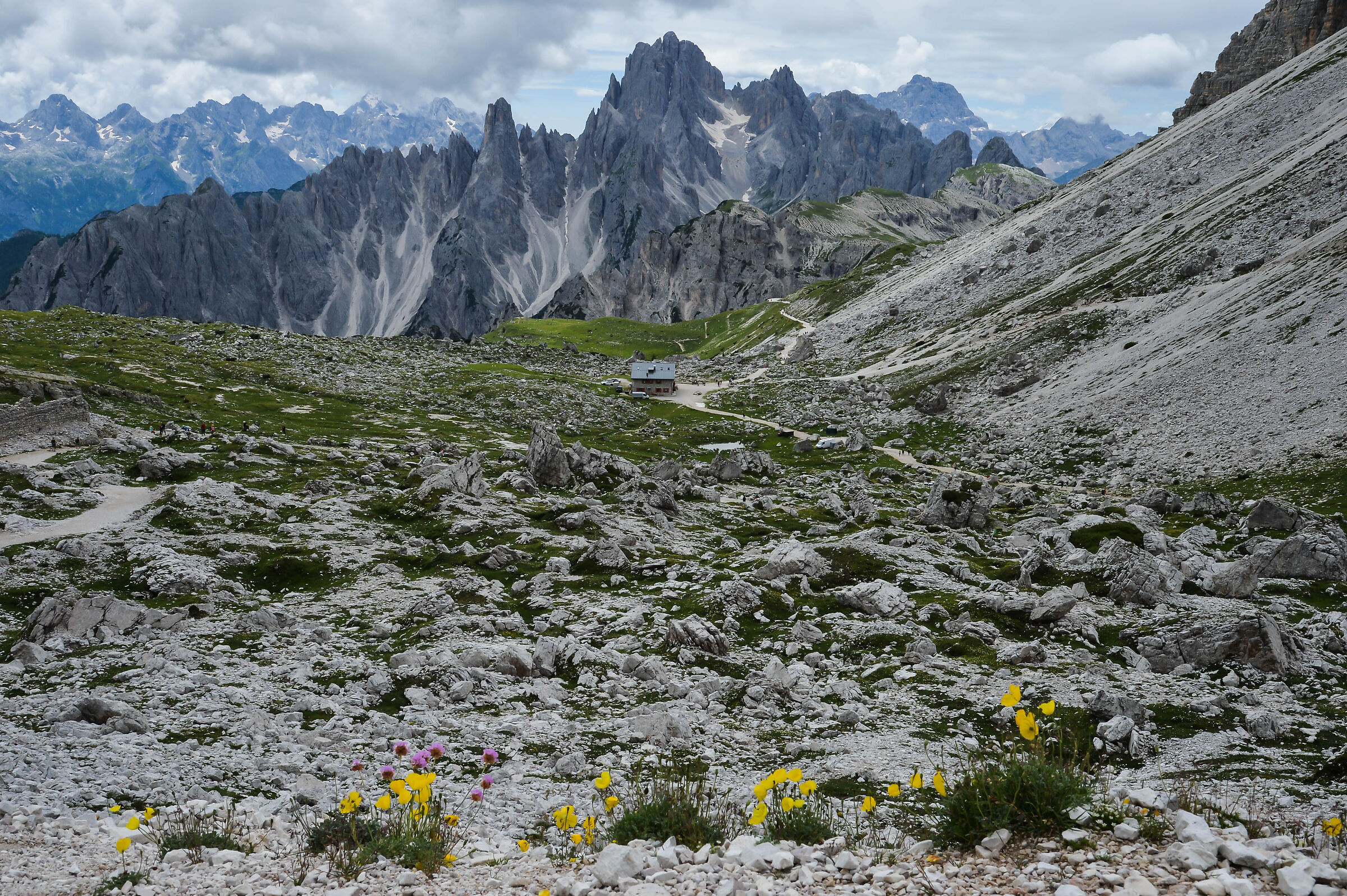 Dolomiti (7)