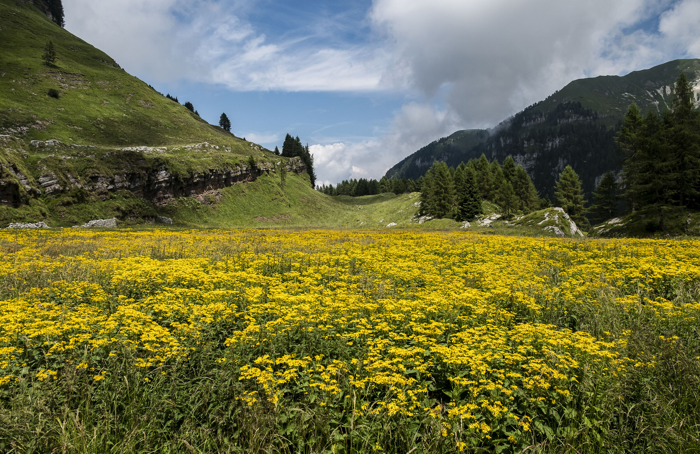 Val Canzoi The Eternal Plans
