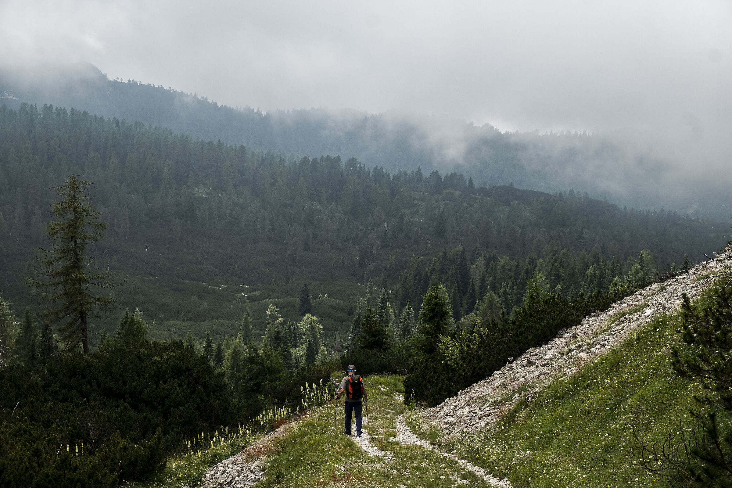 Val Canzoi The Eternal Plans