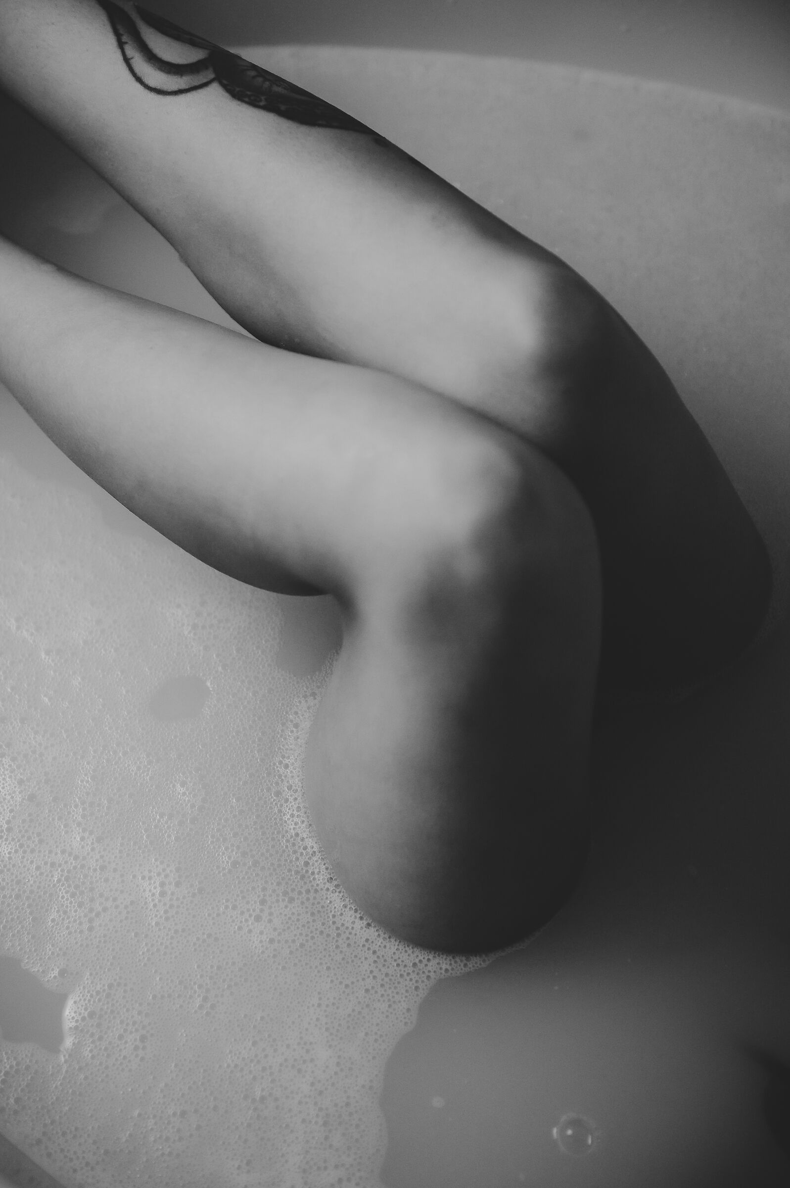 Untitled Photo