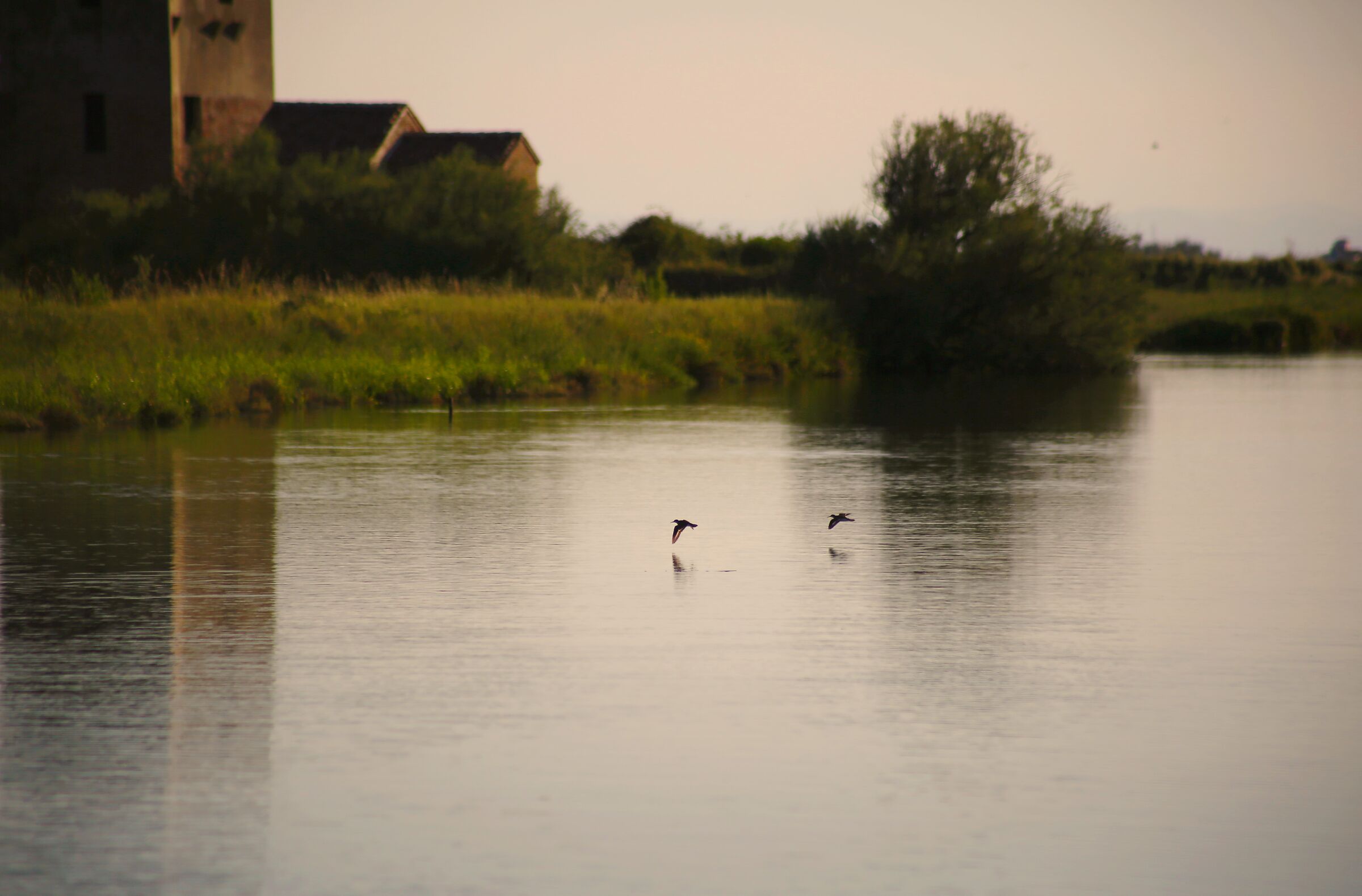 In volo sull'acqua